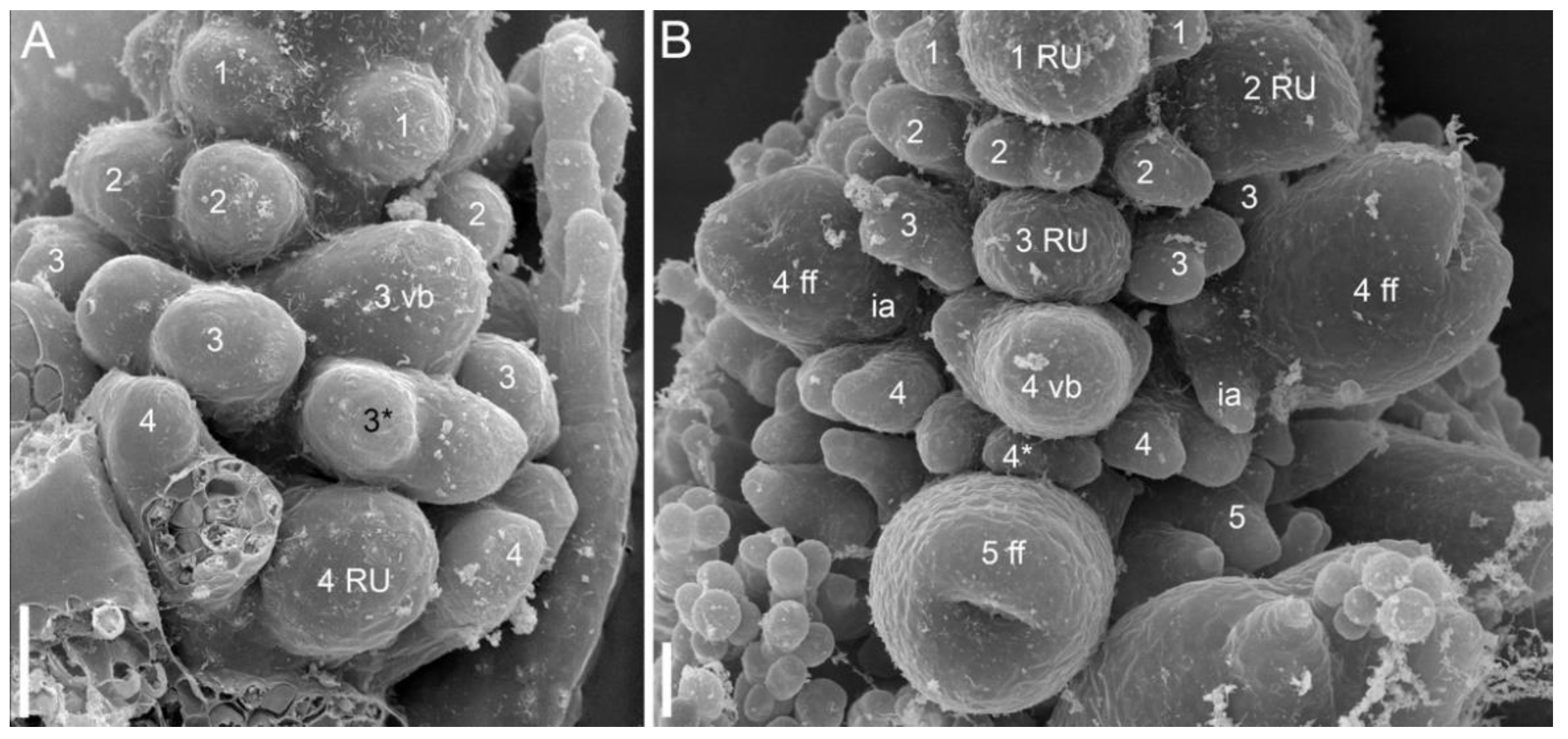 Symmetry 14 01288 g013