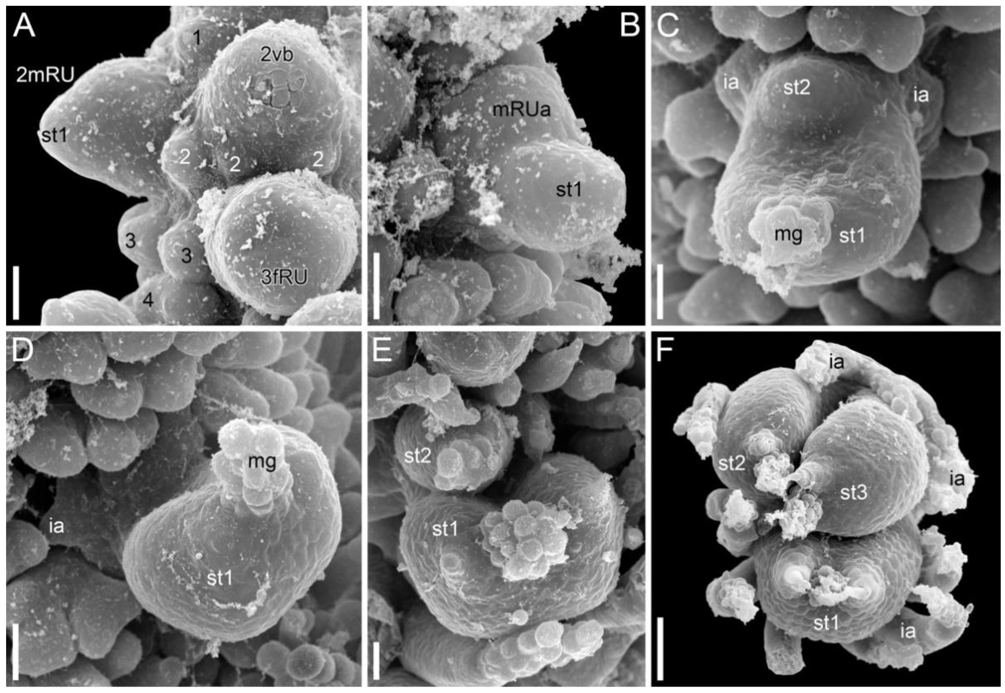 Symmetry 14 01288 g014