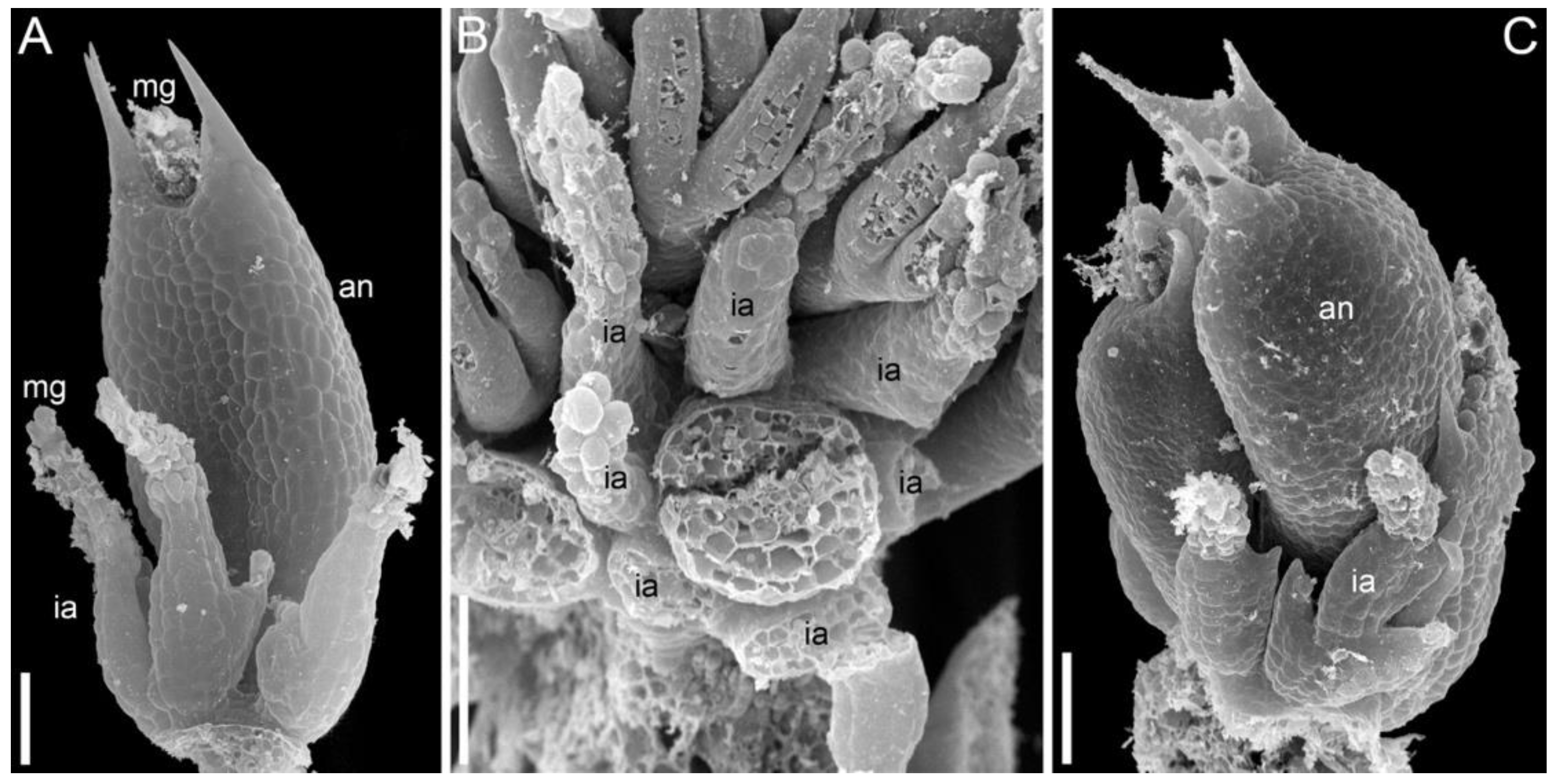 Symmetry 14 01288 g015