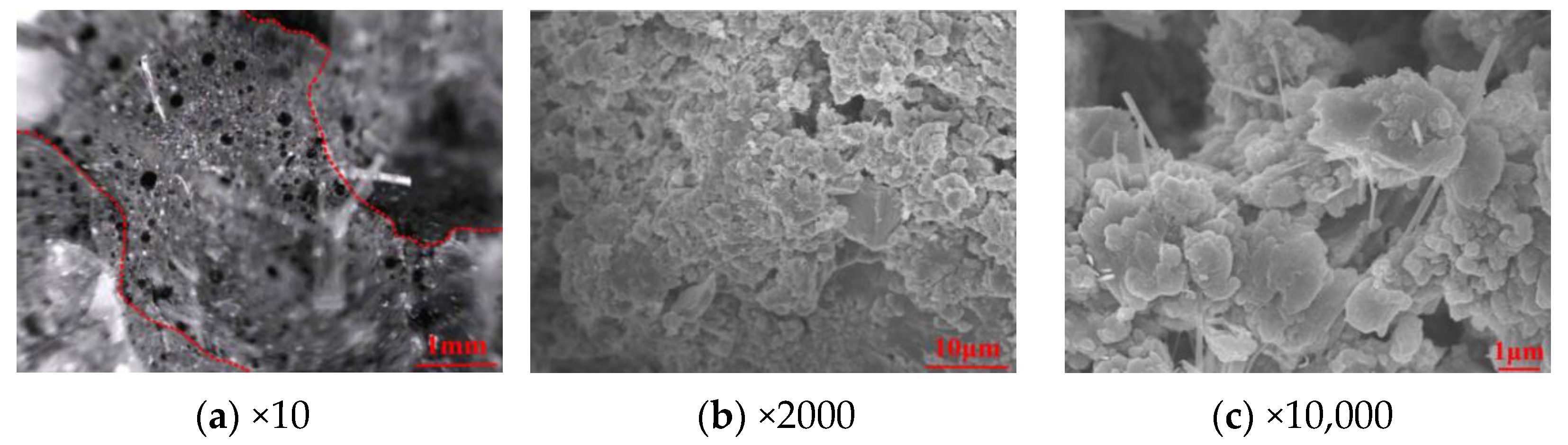 Symmetry 14 01295 g013