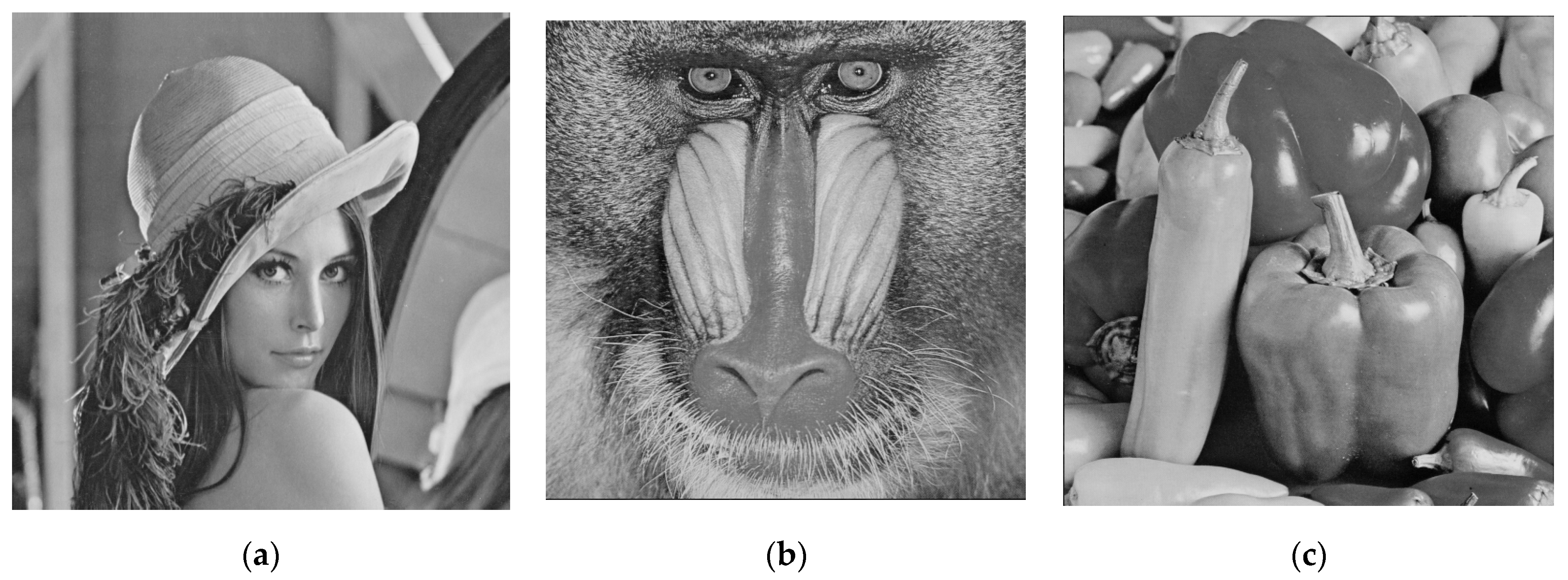 Symmetry 14 01336 g005