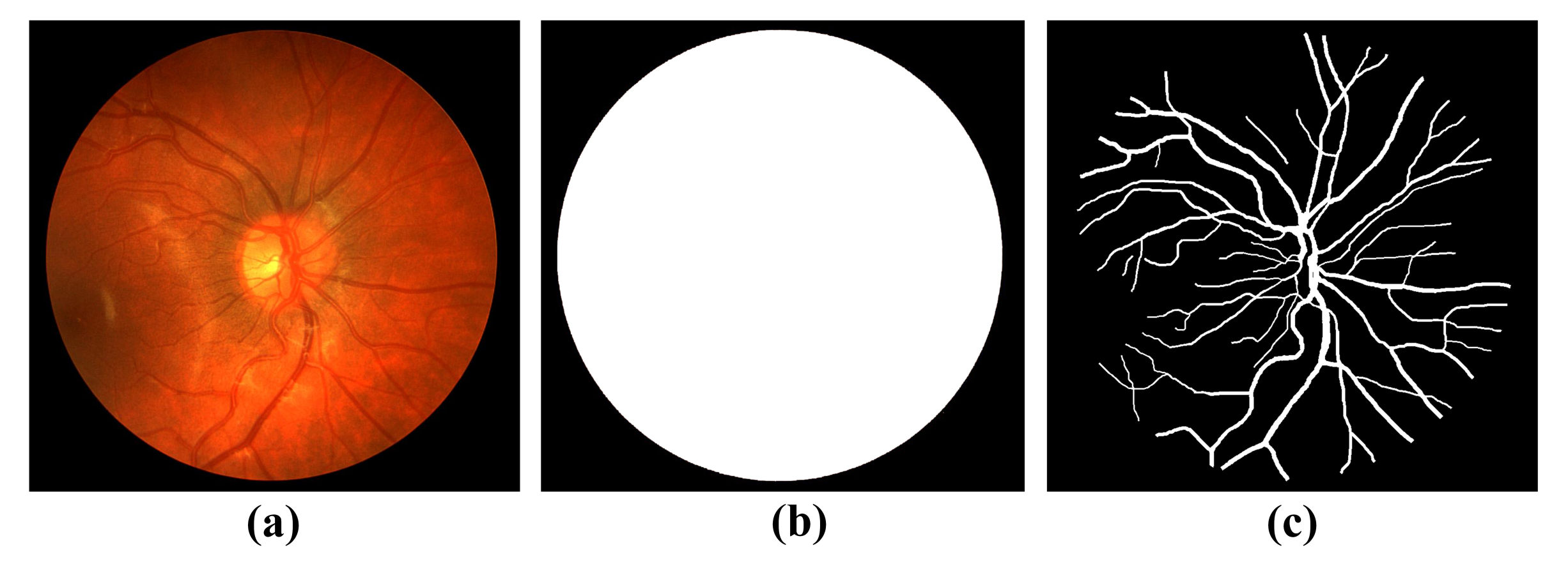 Symmetry 14 01357 g004