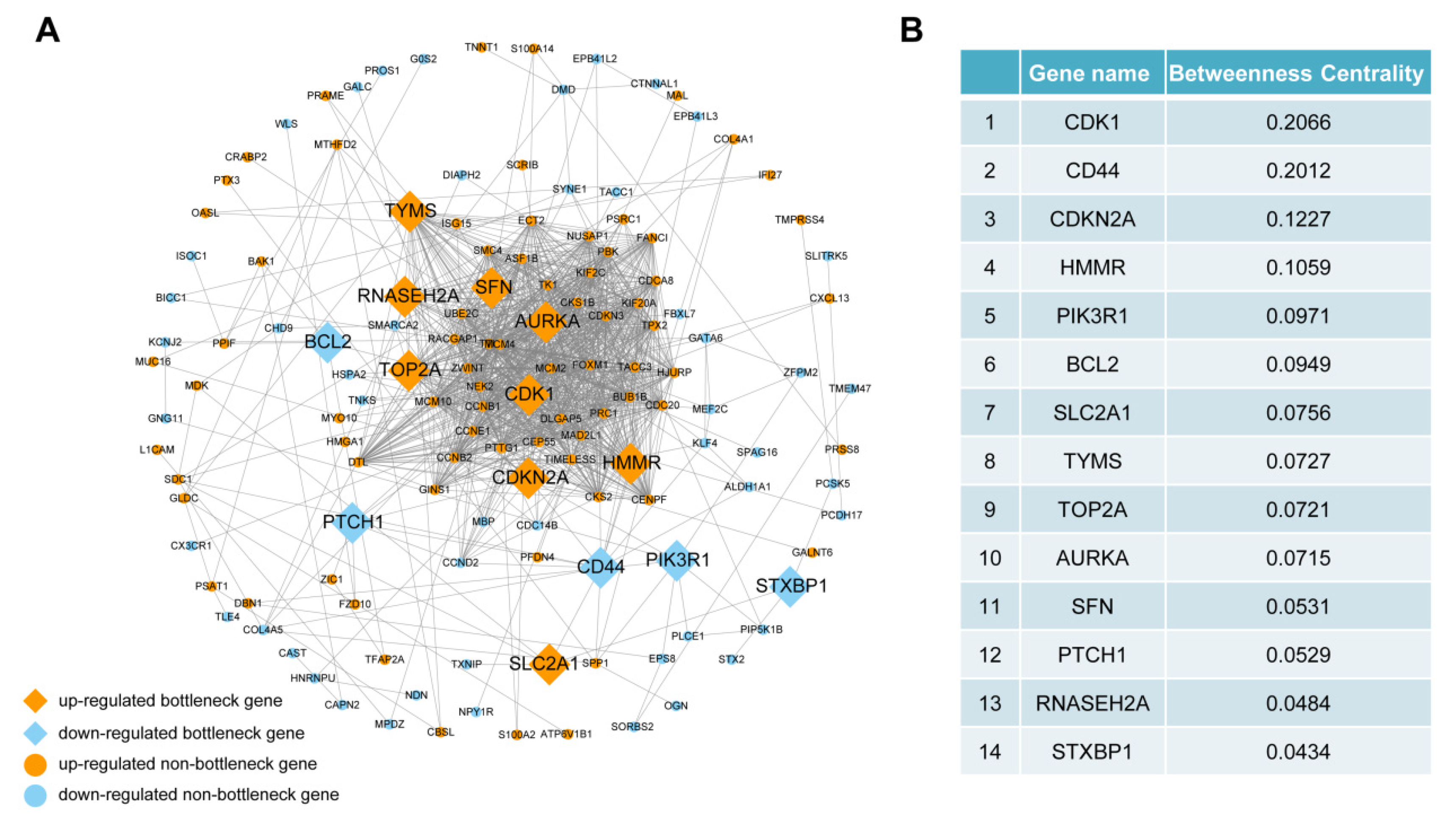 Symmetry 14 01403 g004
