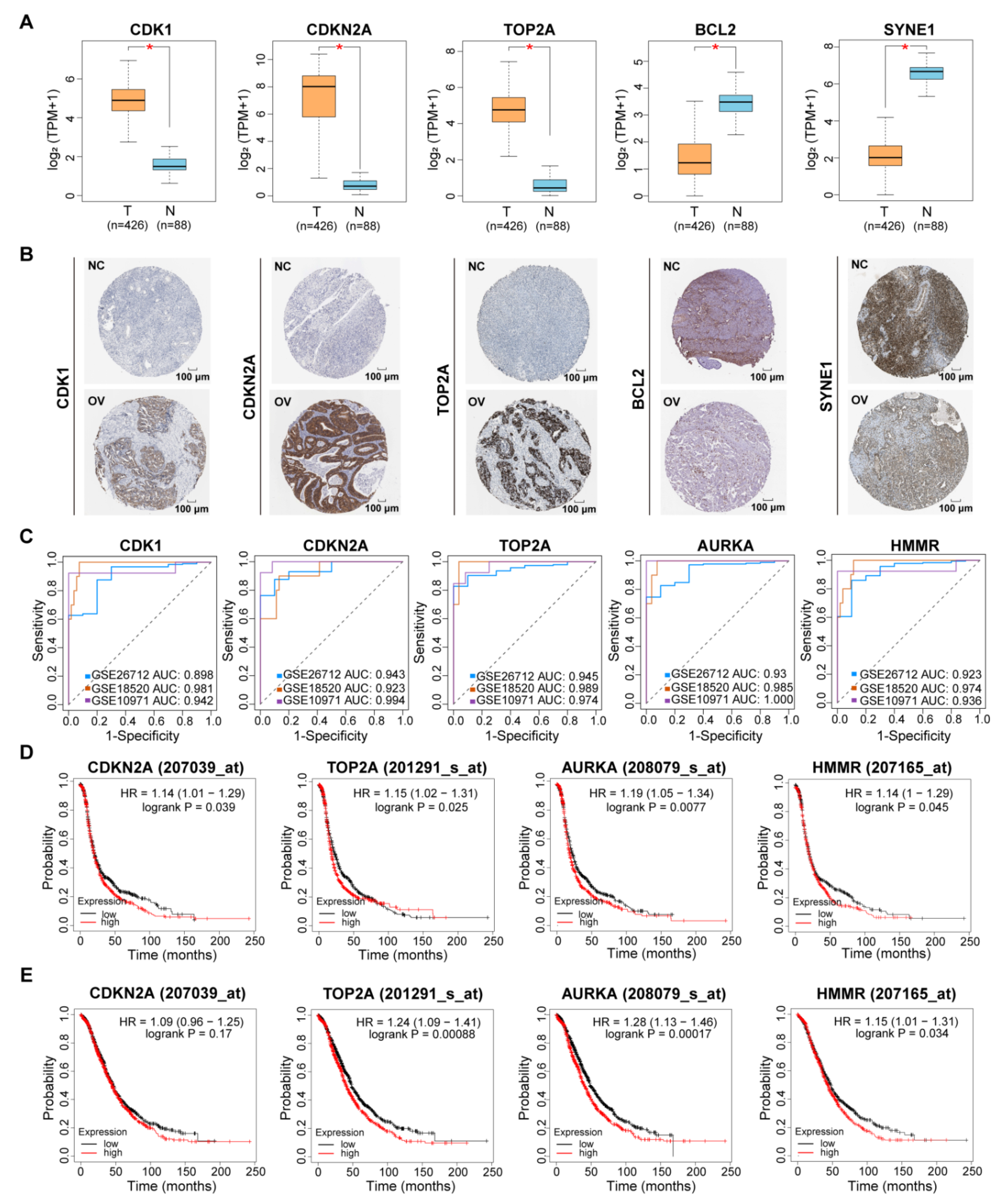 Symmetry 14 01403 g005