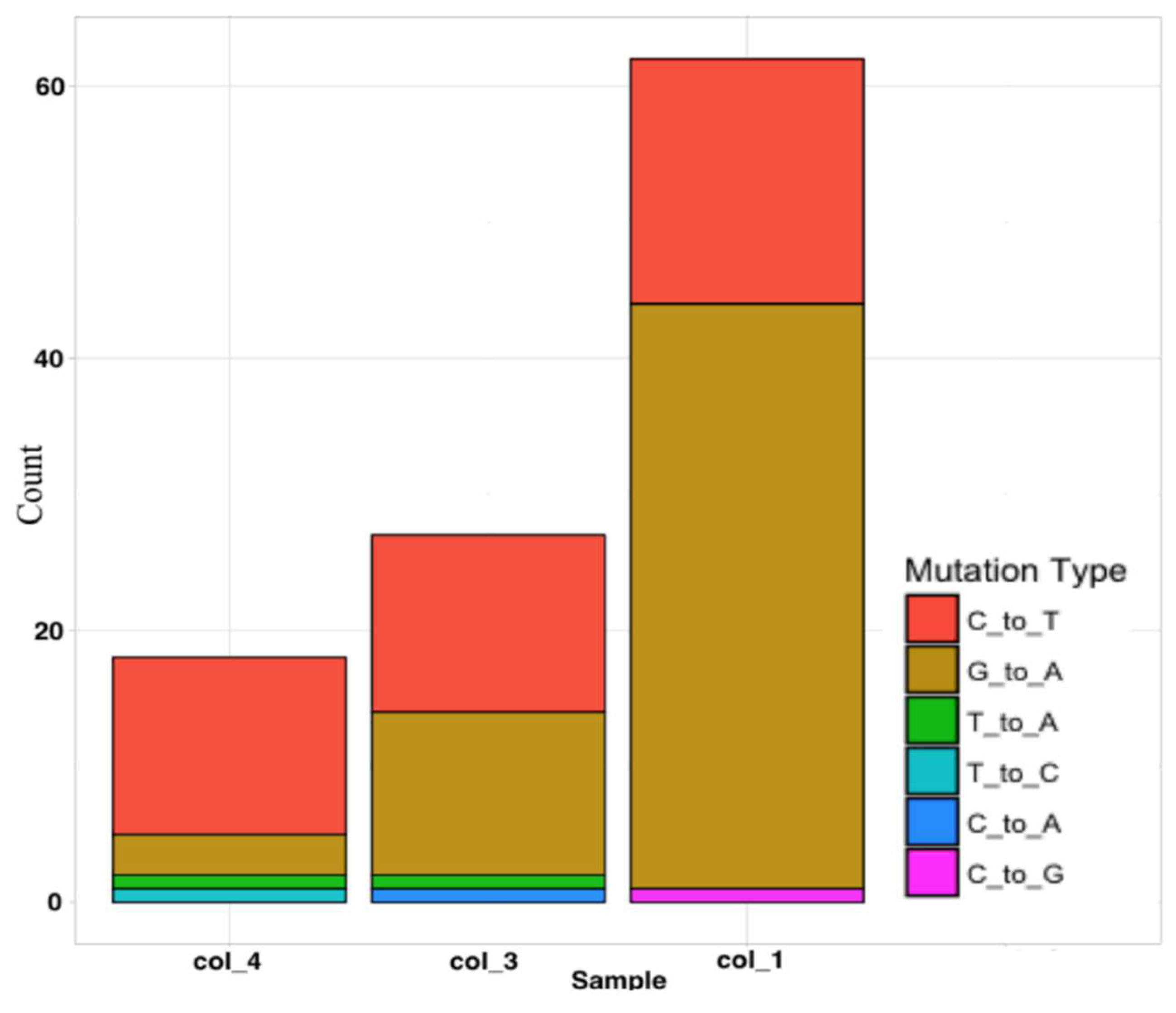 Symmetry 14 01431 g001
