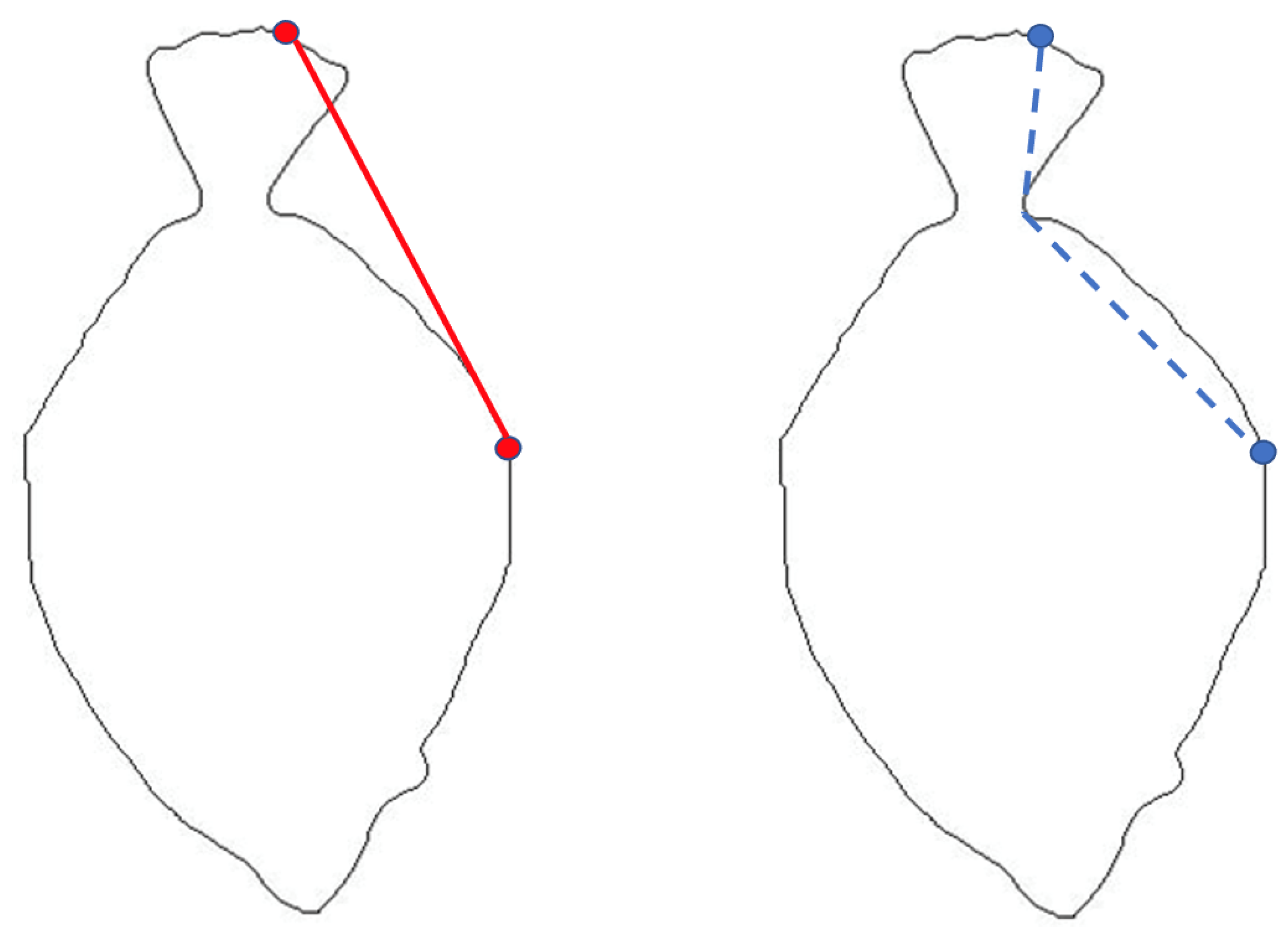 Symmetry 14 01670 g002