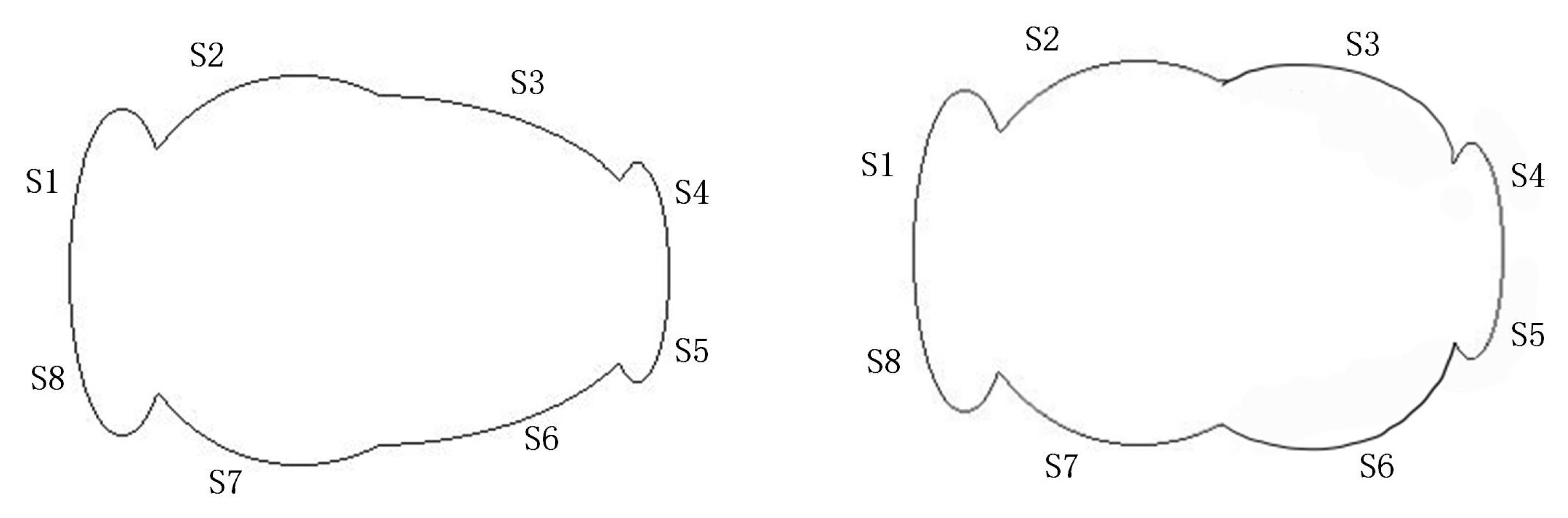 Symmetry 14 01670 g007
