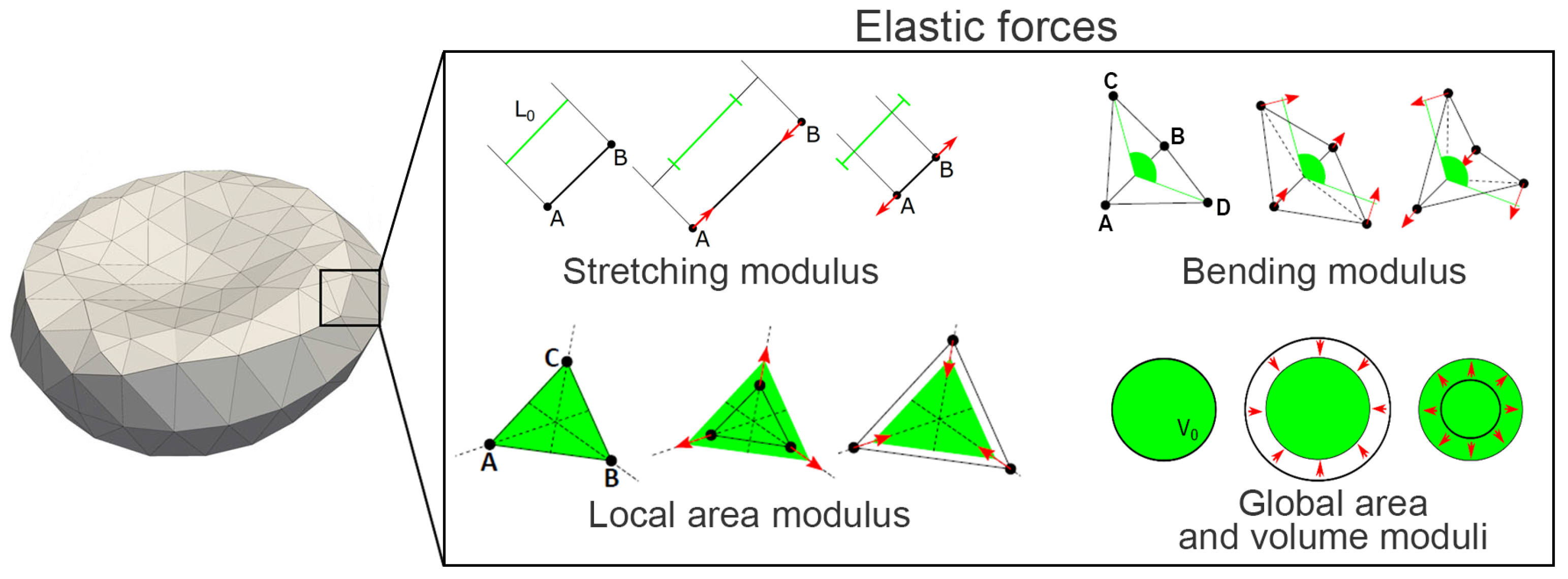 Symmetry 14 01732 g002