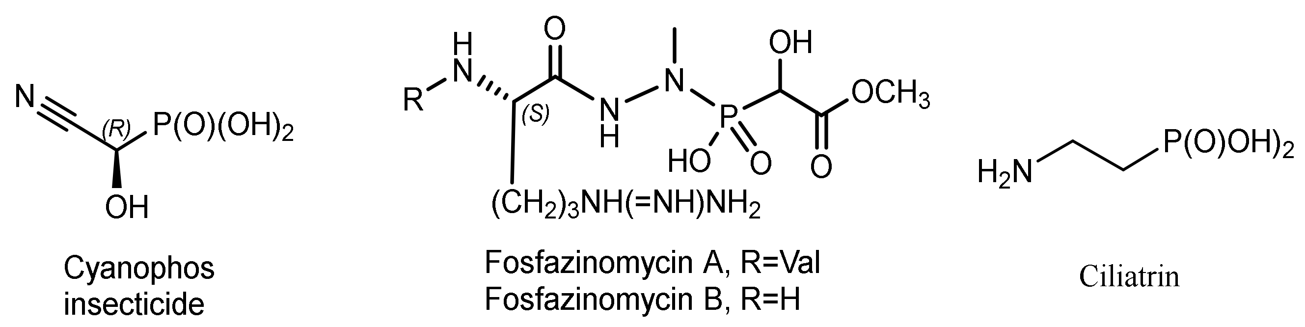 Symmetry 14 01758 g003