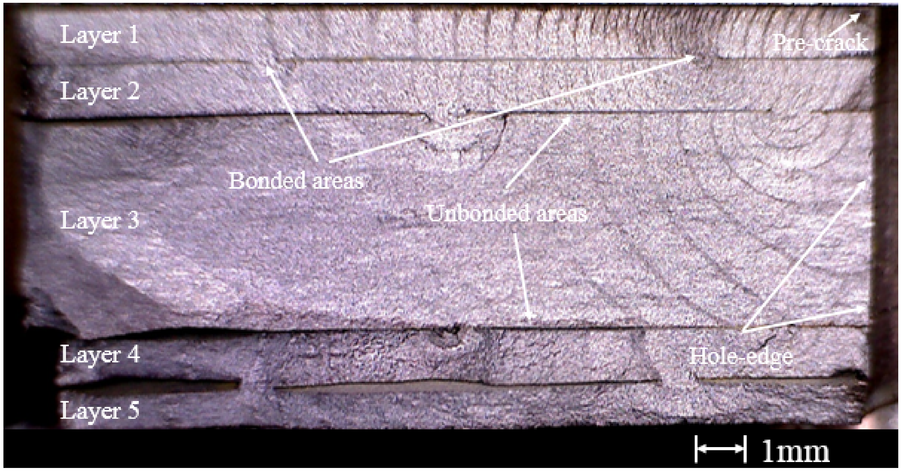 Symmetry 14 01836 g006