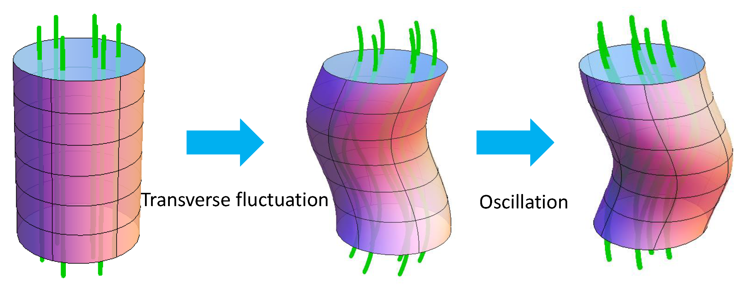 Symmetry 14 01851 g008