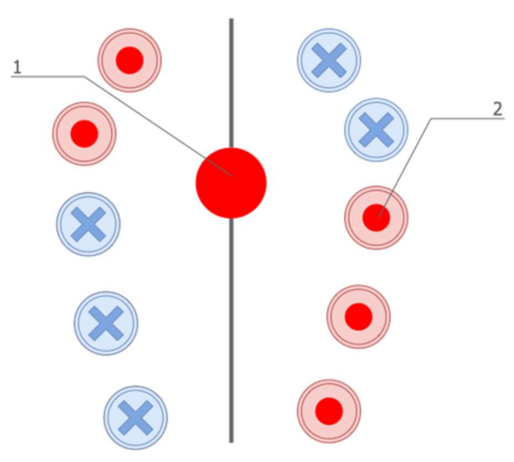 Symmetry 14 01968 g001