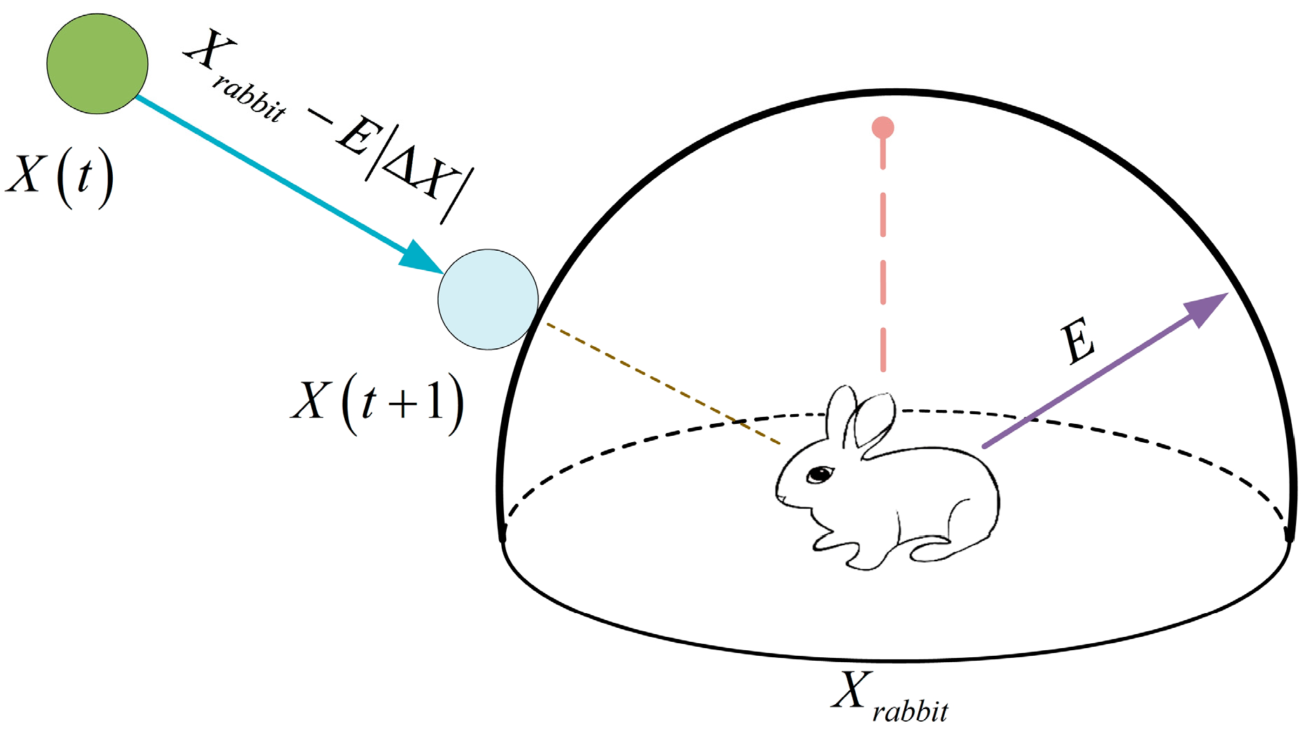 Symmetry 14 01978 g001