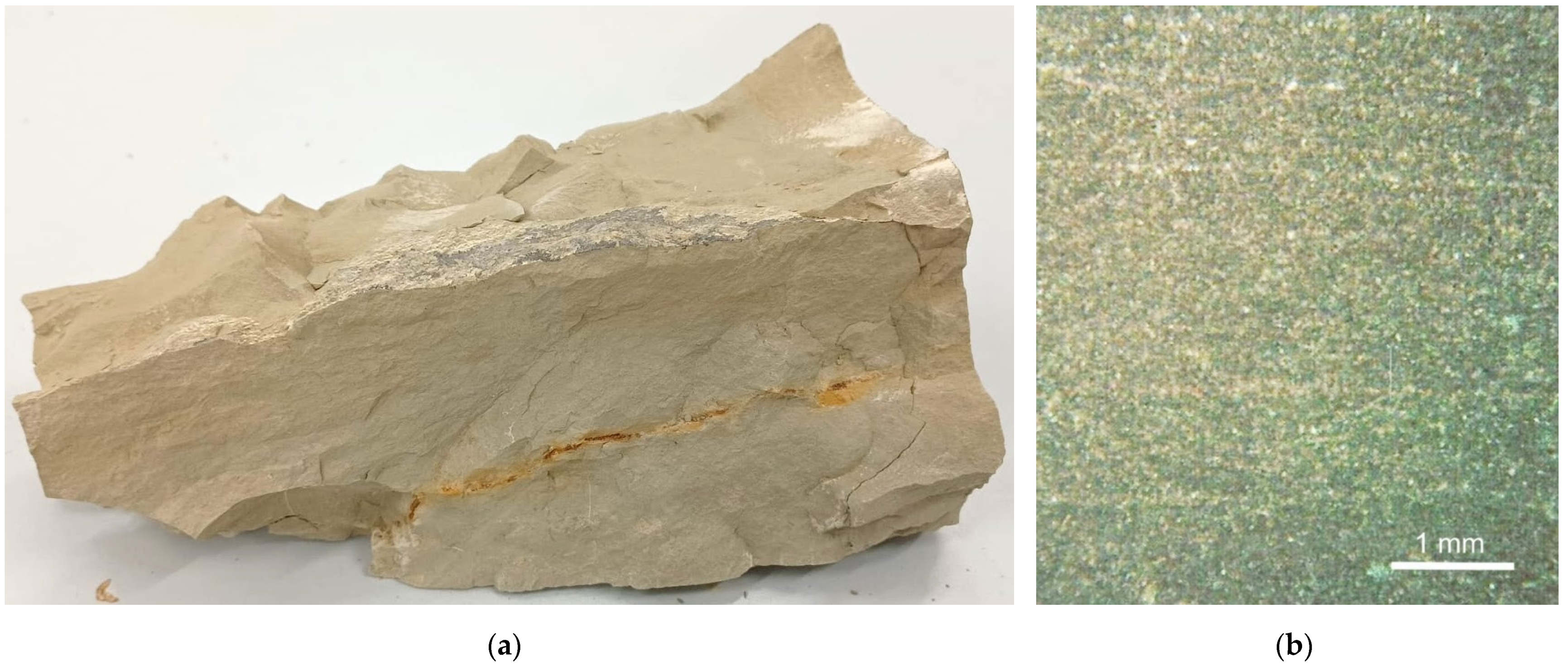 Symmetry 14 02170 g003
