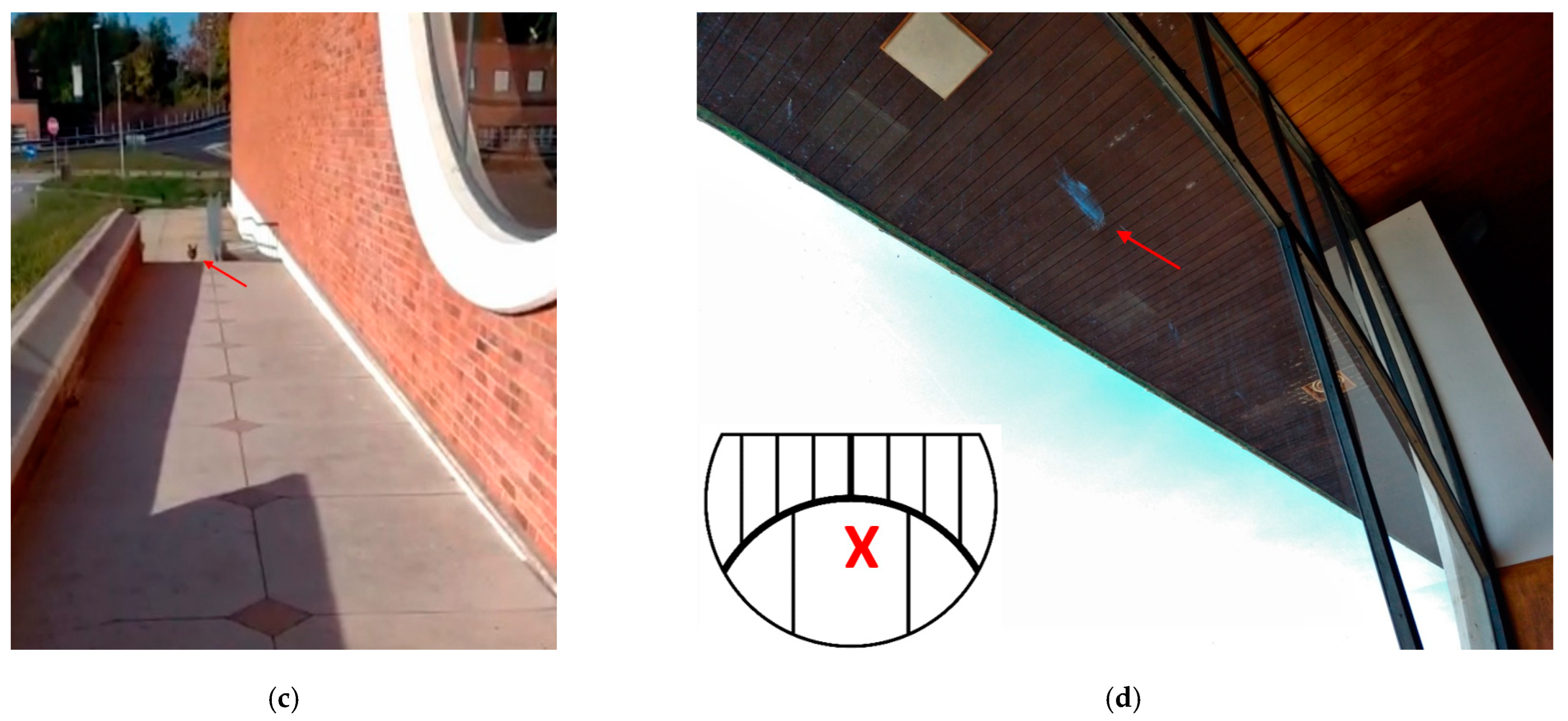 Symmetry 14 02198 g002b