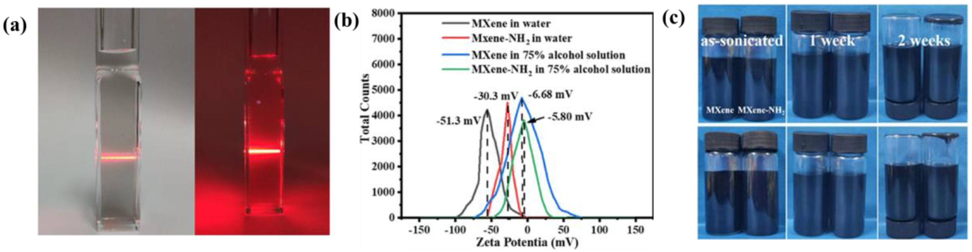 Symmetry 14 02232 g024