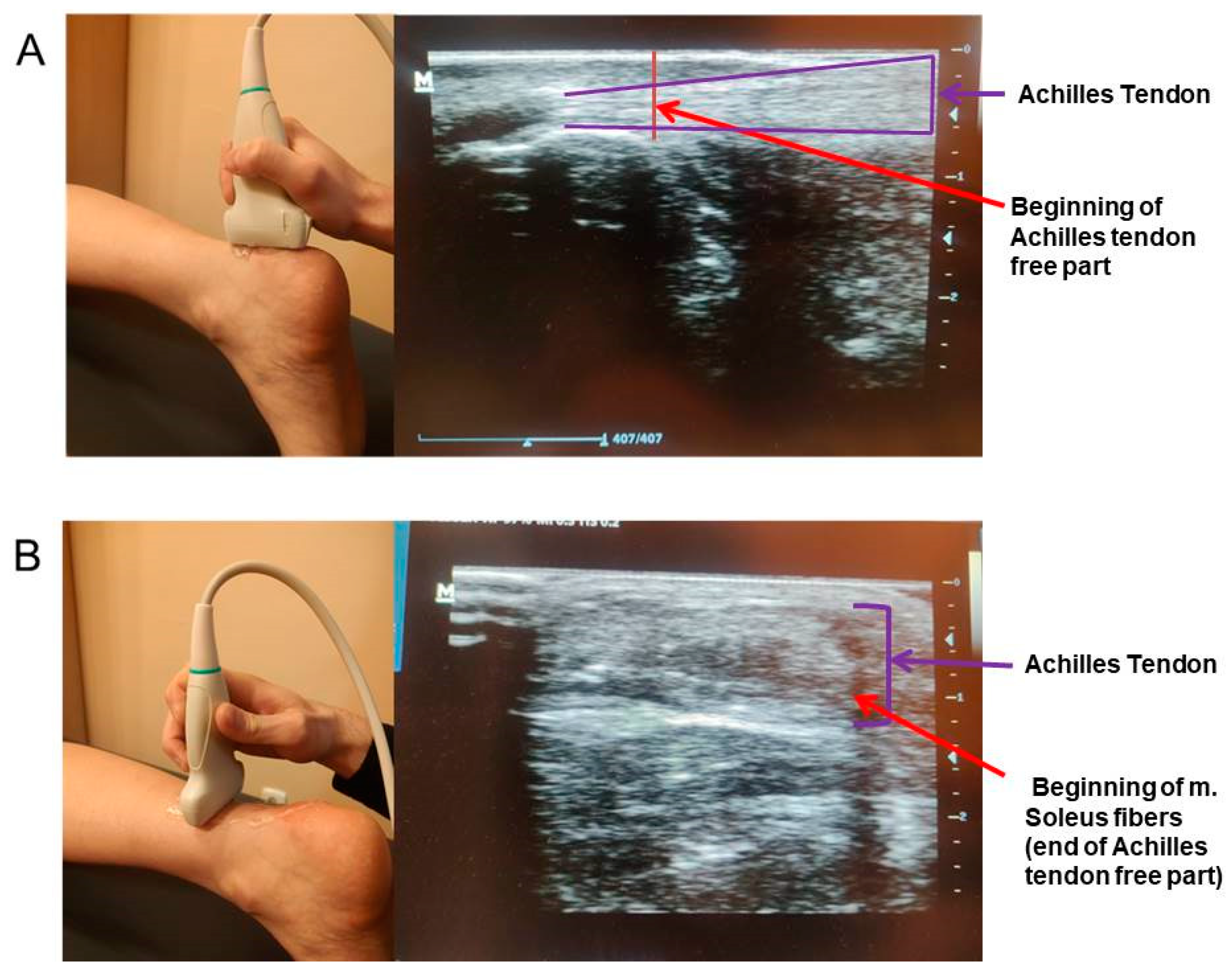 Symmetry 14 02313 g001