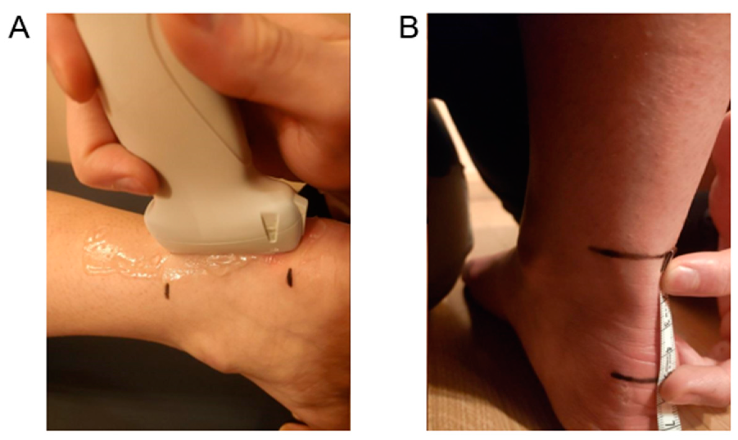 Symmetry 14 02313 g002