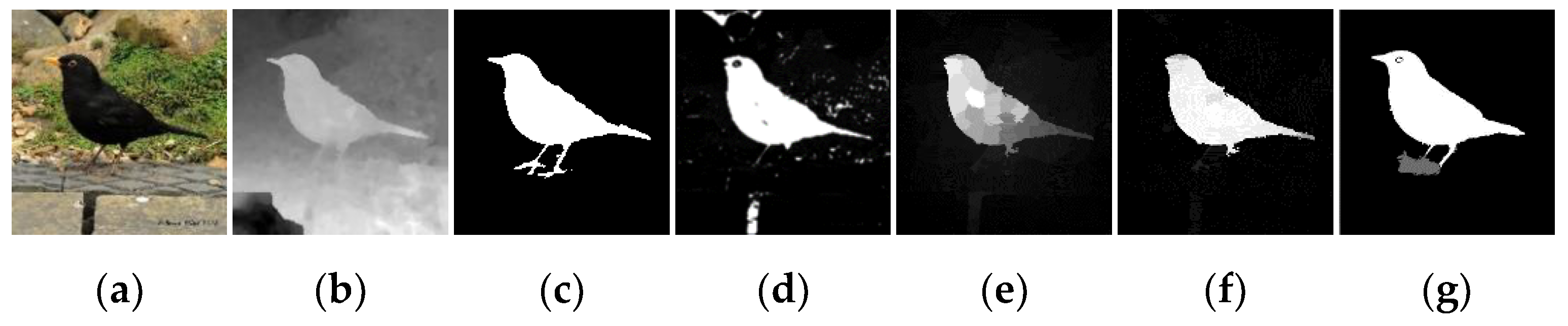 Symmetry 14 02393 g006