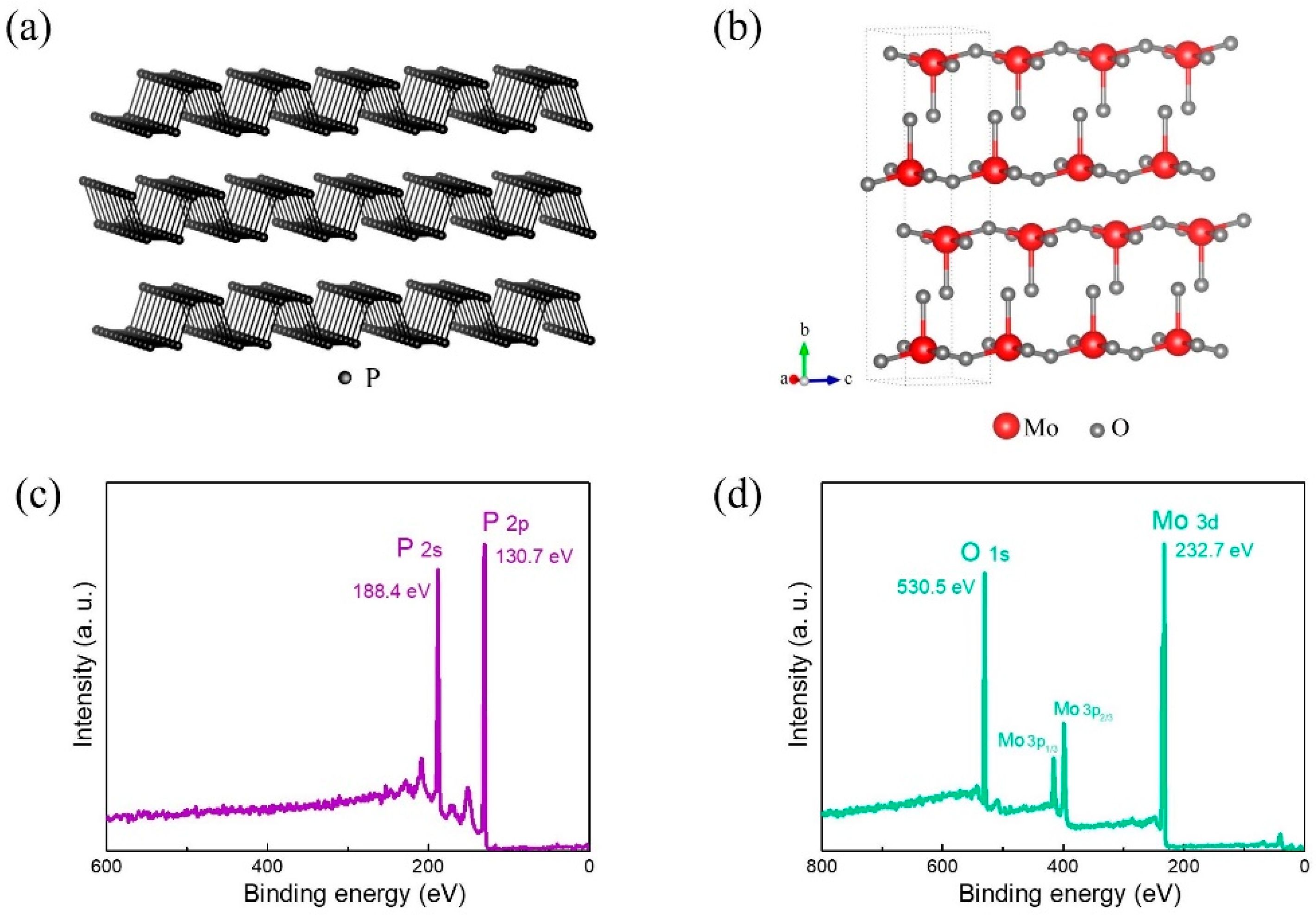 Symmetry 14 02448 g001
