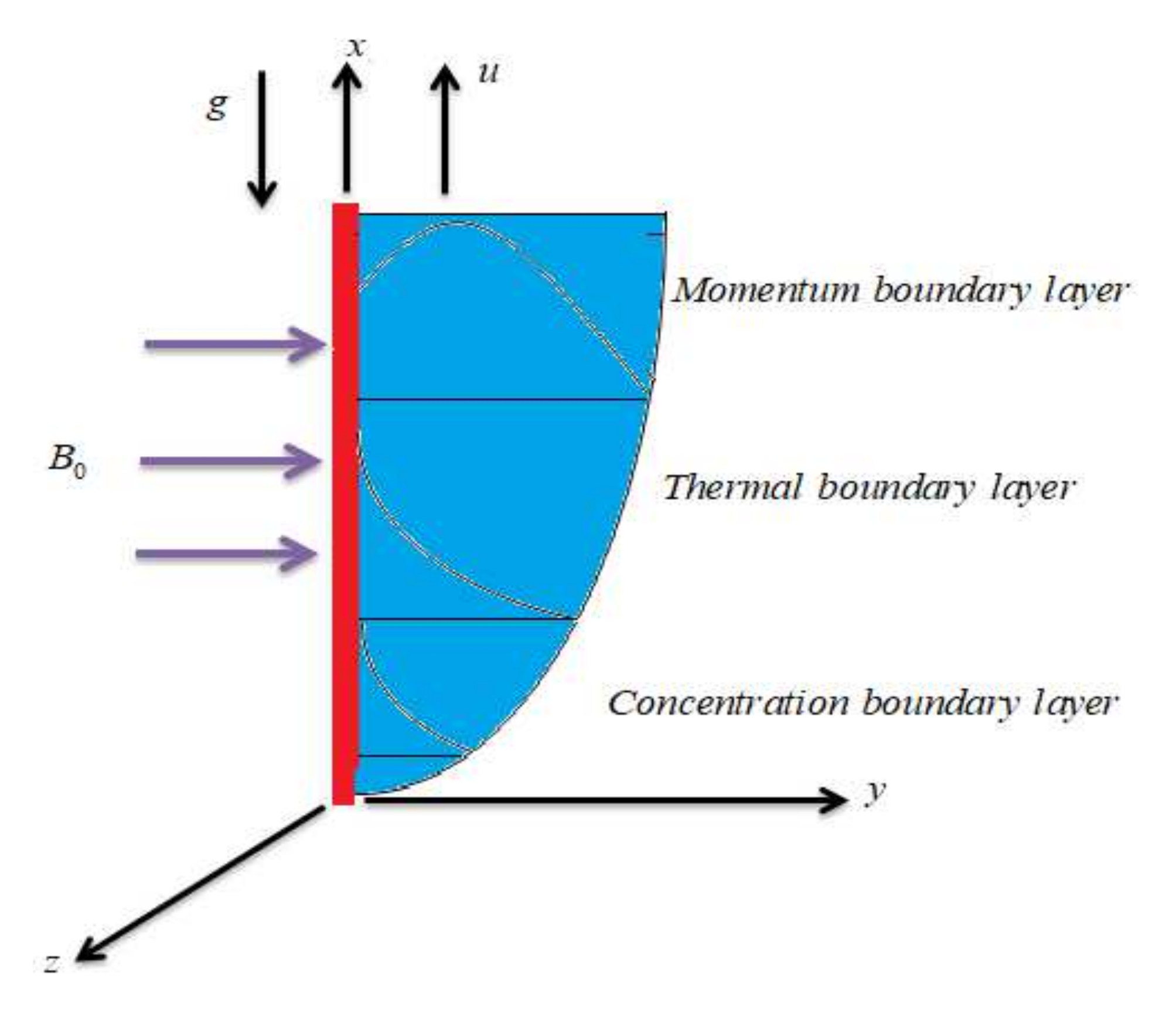 Symmetry 14 02491 g001
