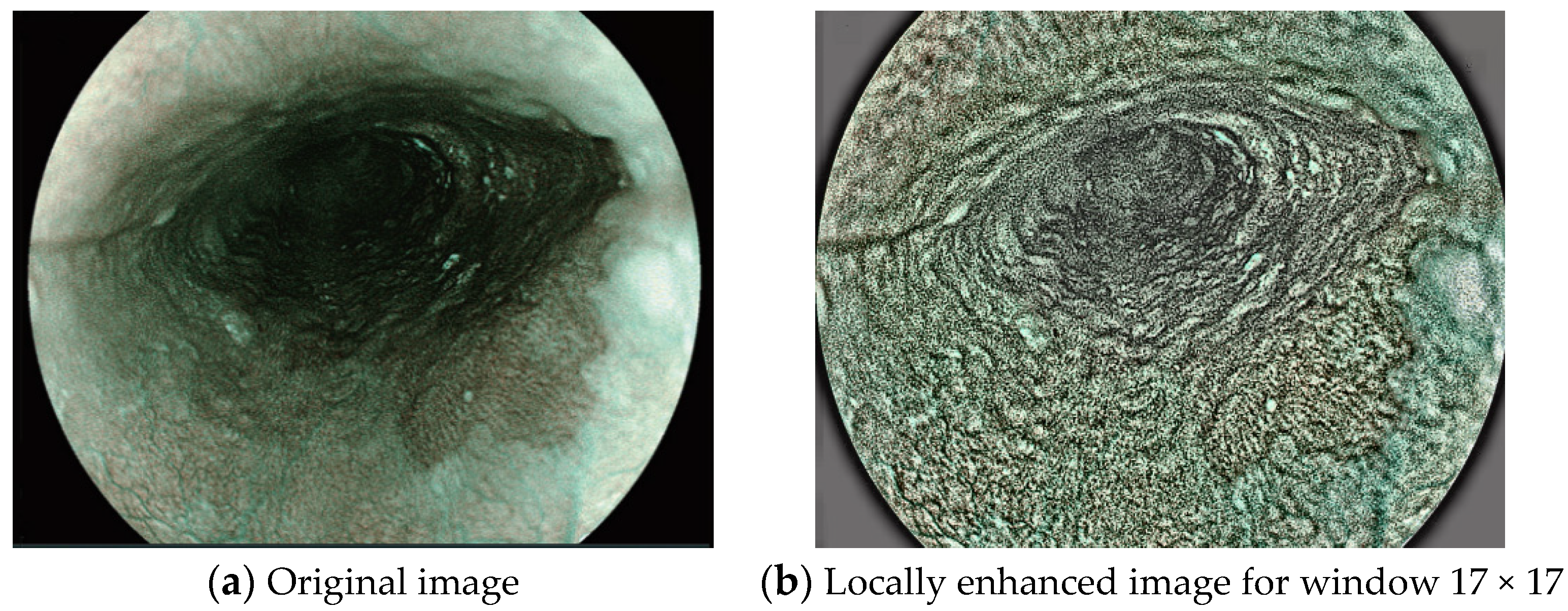 Symmetry 14 02582 g006