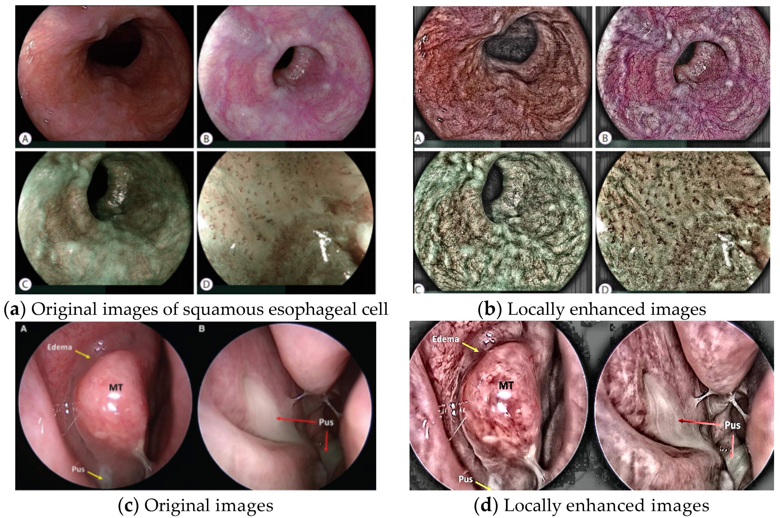 Symmetry 14 02582 g008