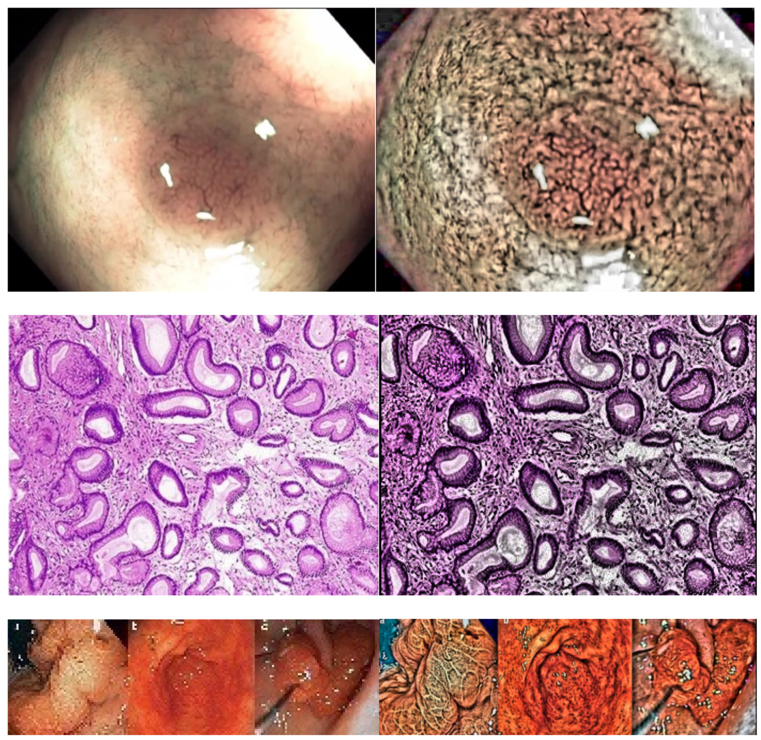 Symmetry 14 02582 g009