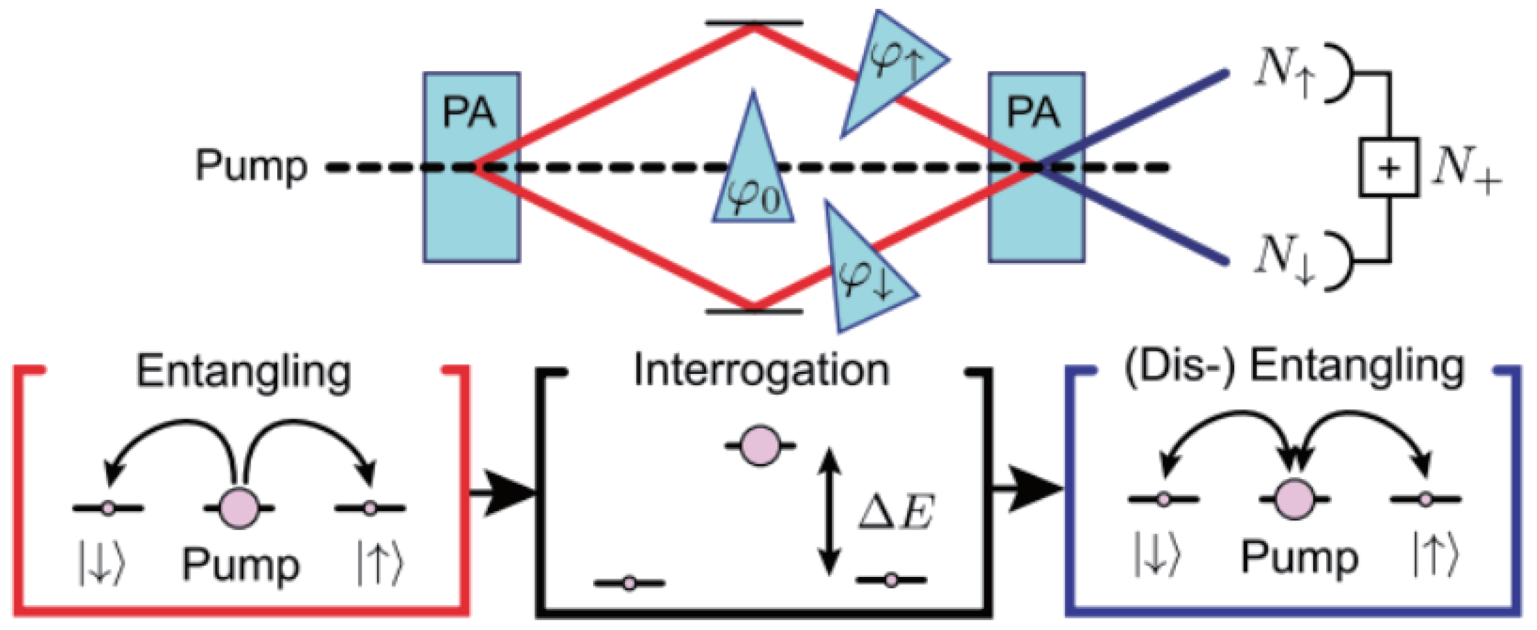 Symmetry 14 02684 g003
