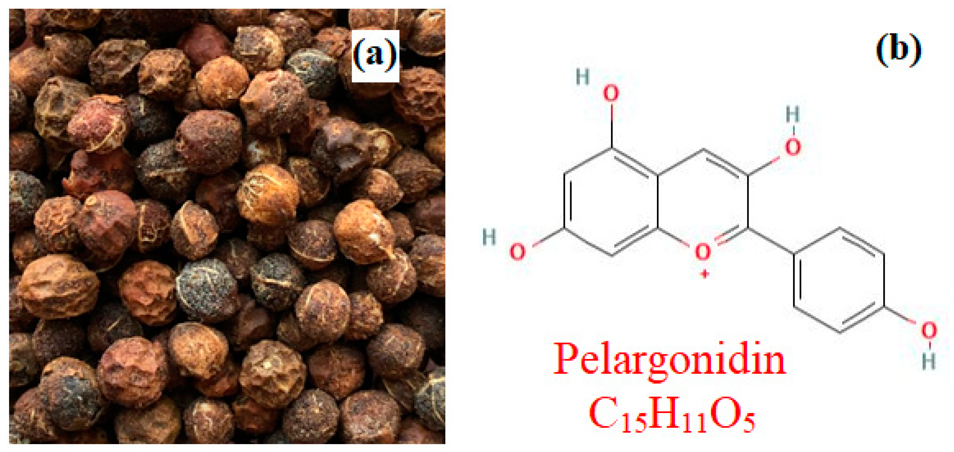 Symmetry 15 00022 g001 Symmetry 15 00022 g001