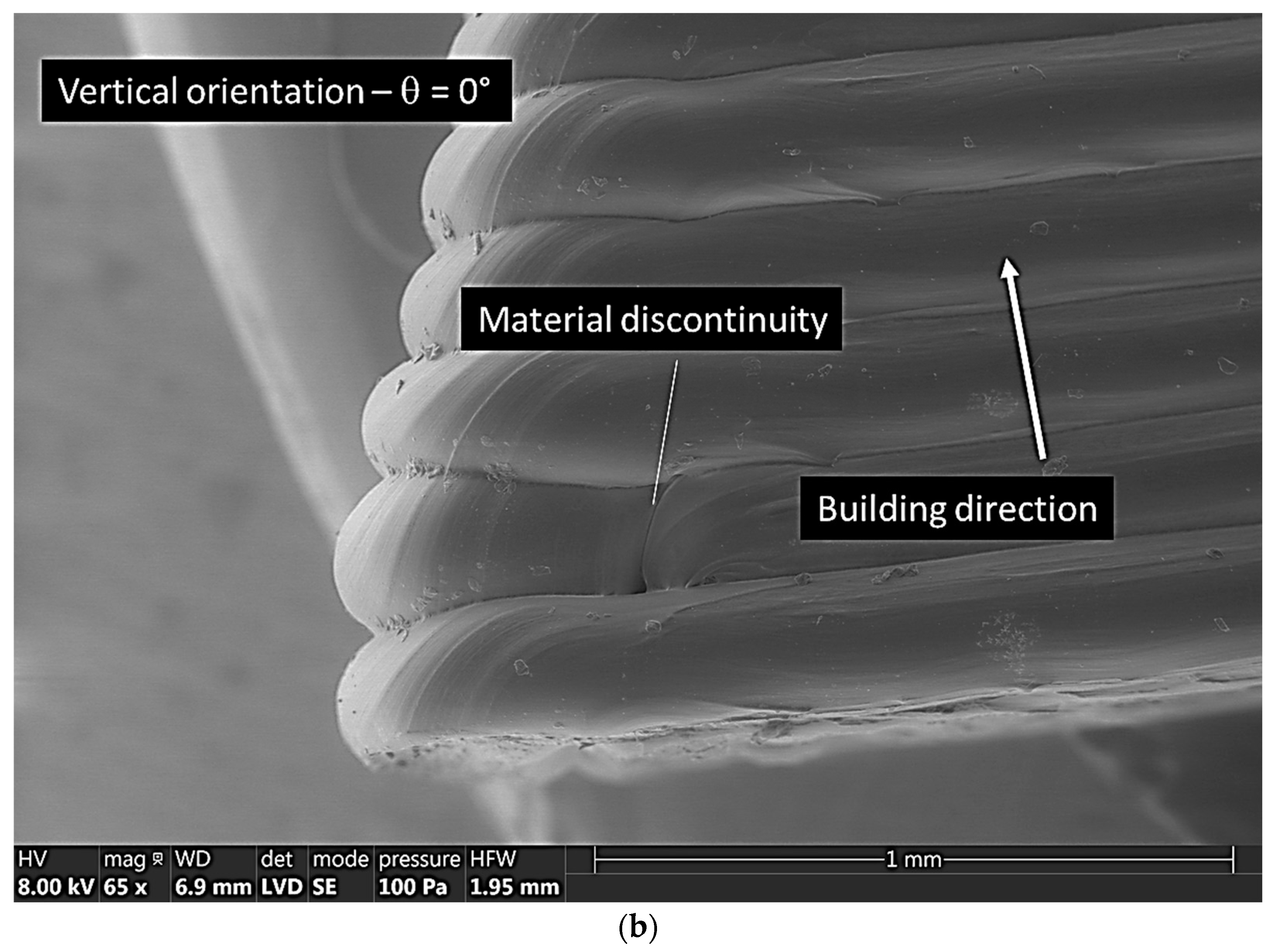 Symmetry 15 00028 g004b
