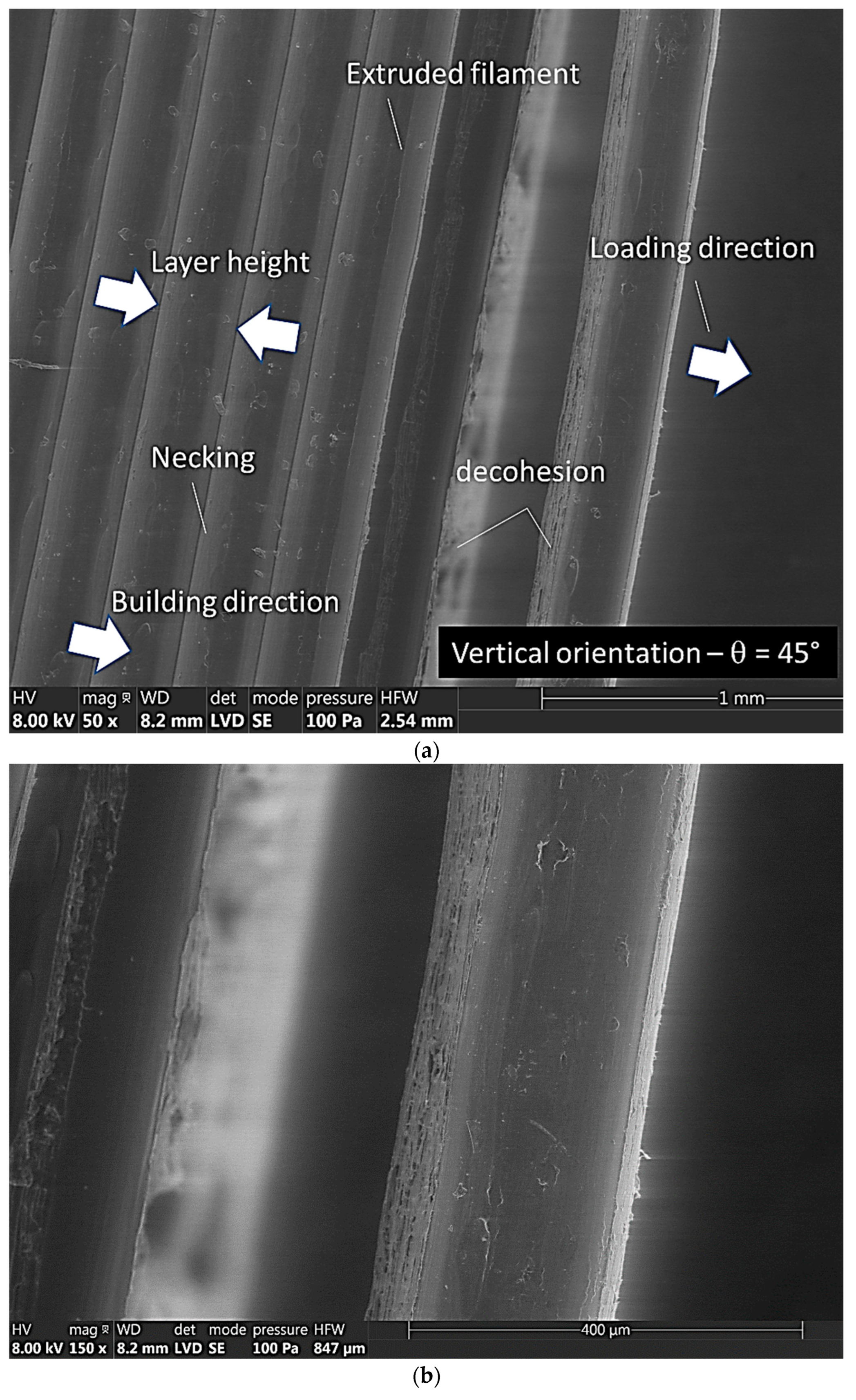 Symmetry 15 00028 g005a