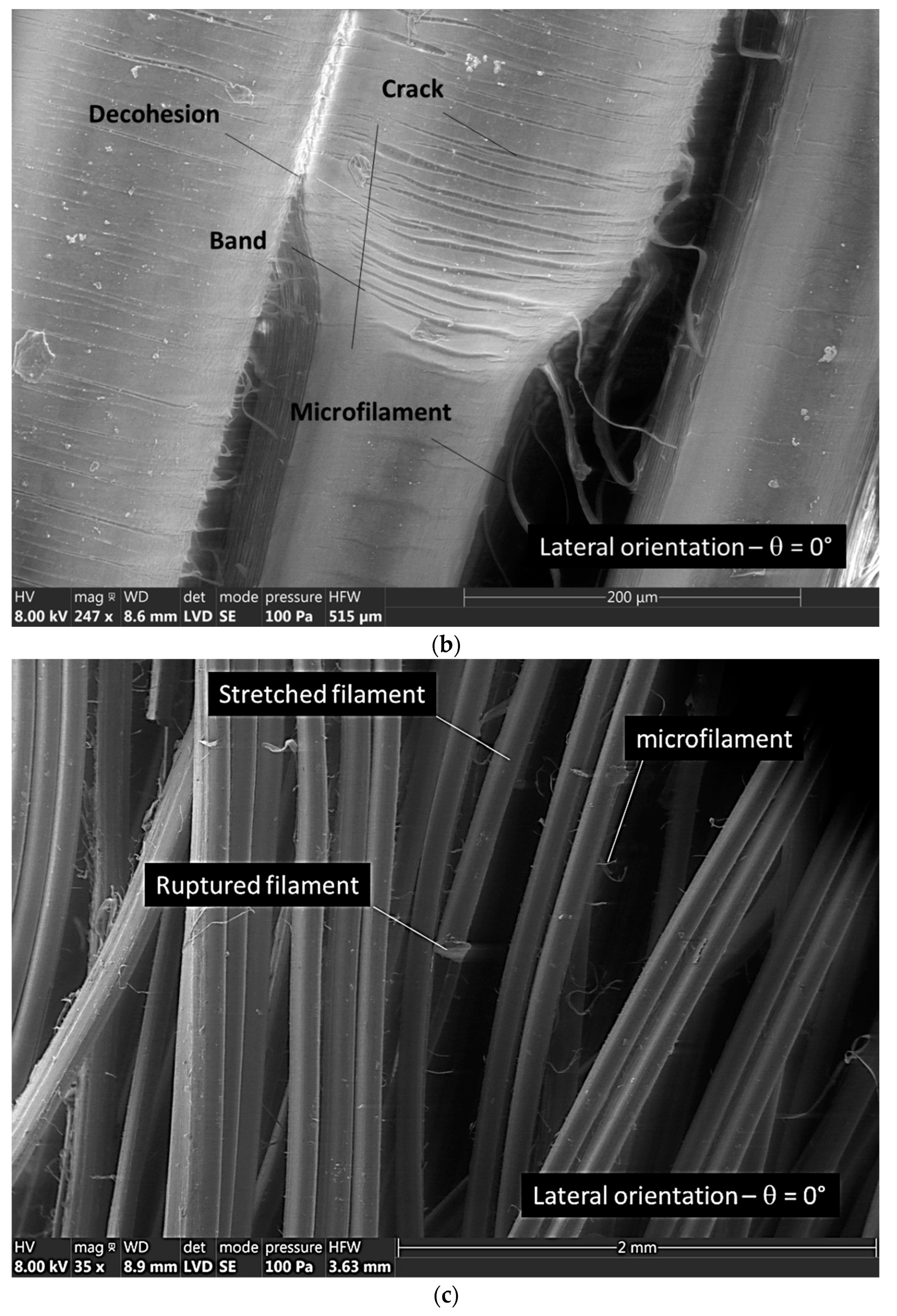 Symmetry 15 00028 g006b