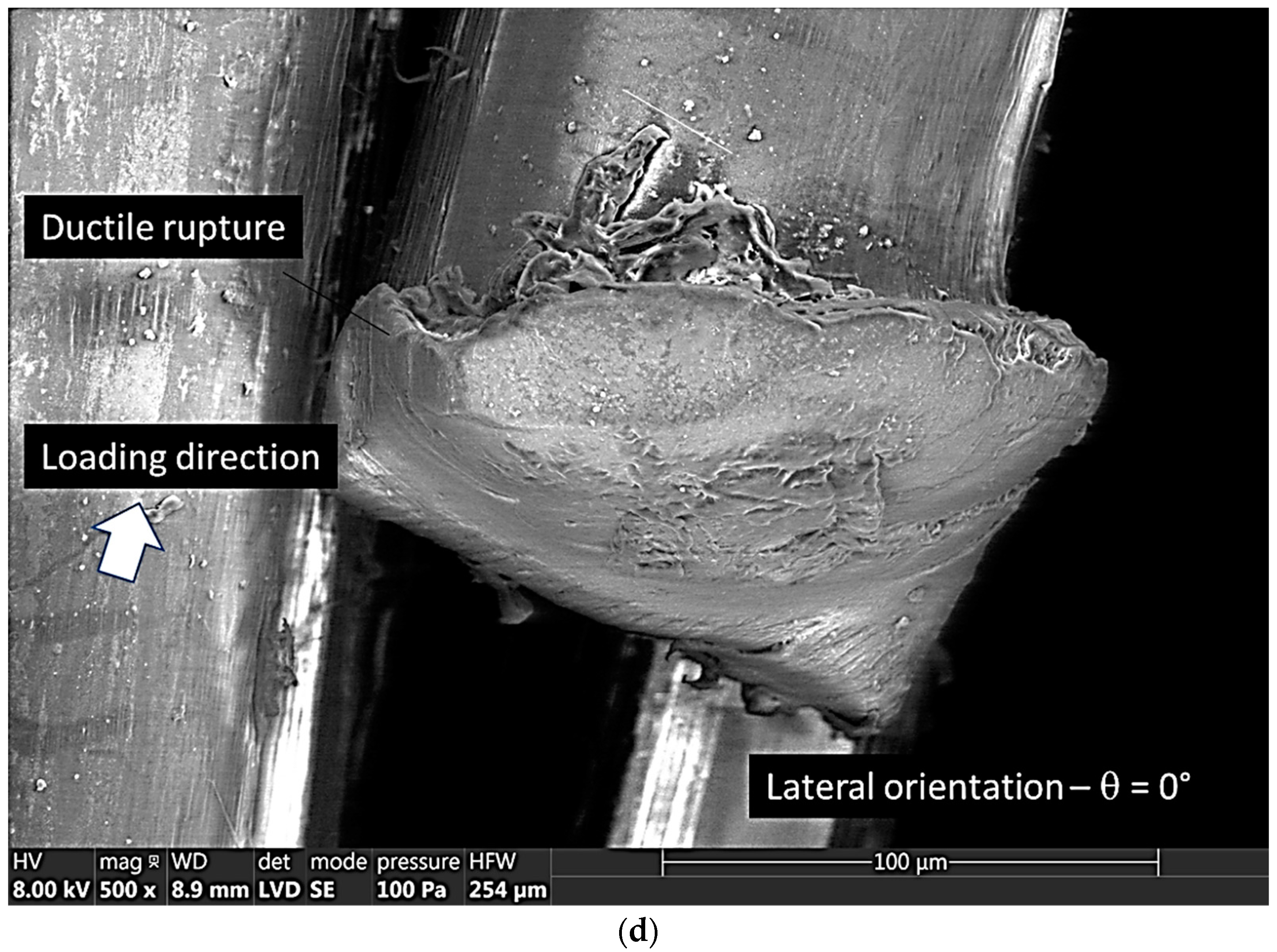 Symmetry 15 00028 g006c
