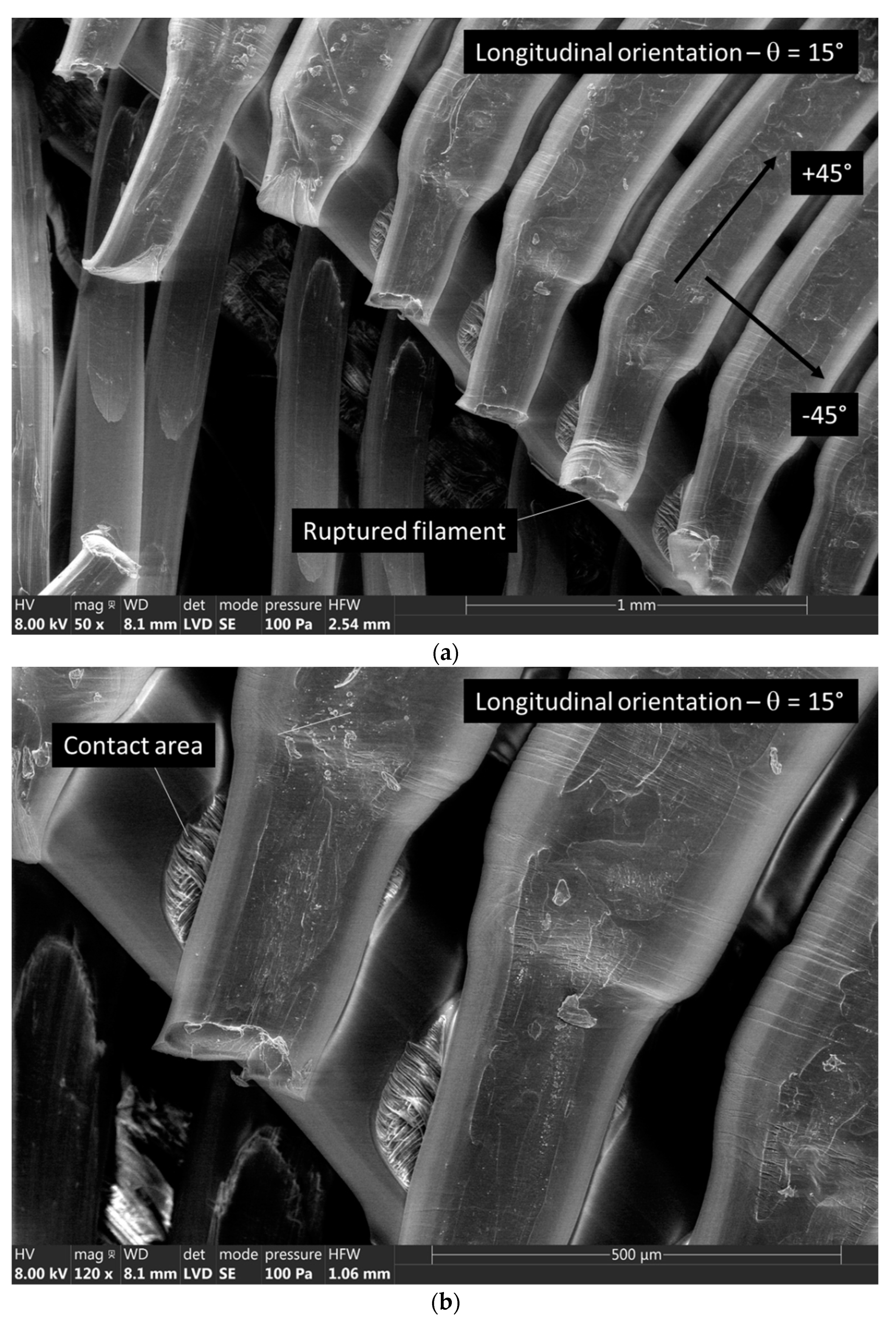 Symmetry 15 00028 g007a