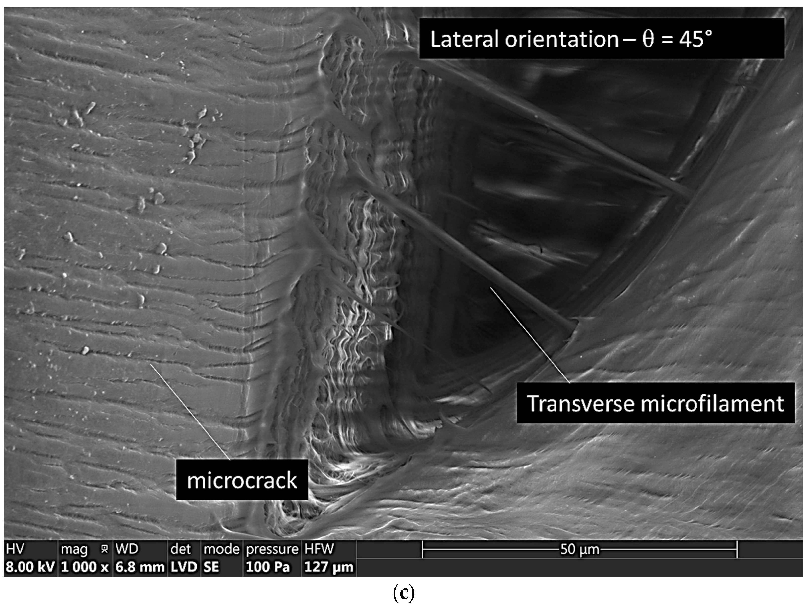 Symmetry 15 00028 g009b