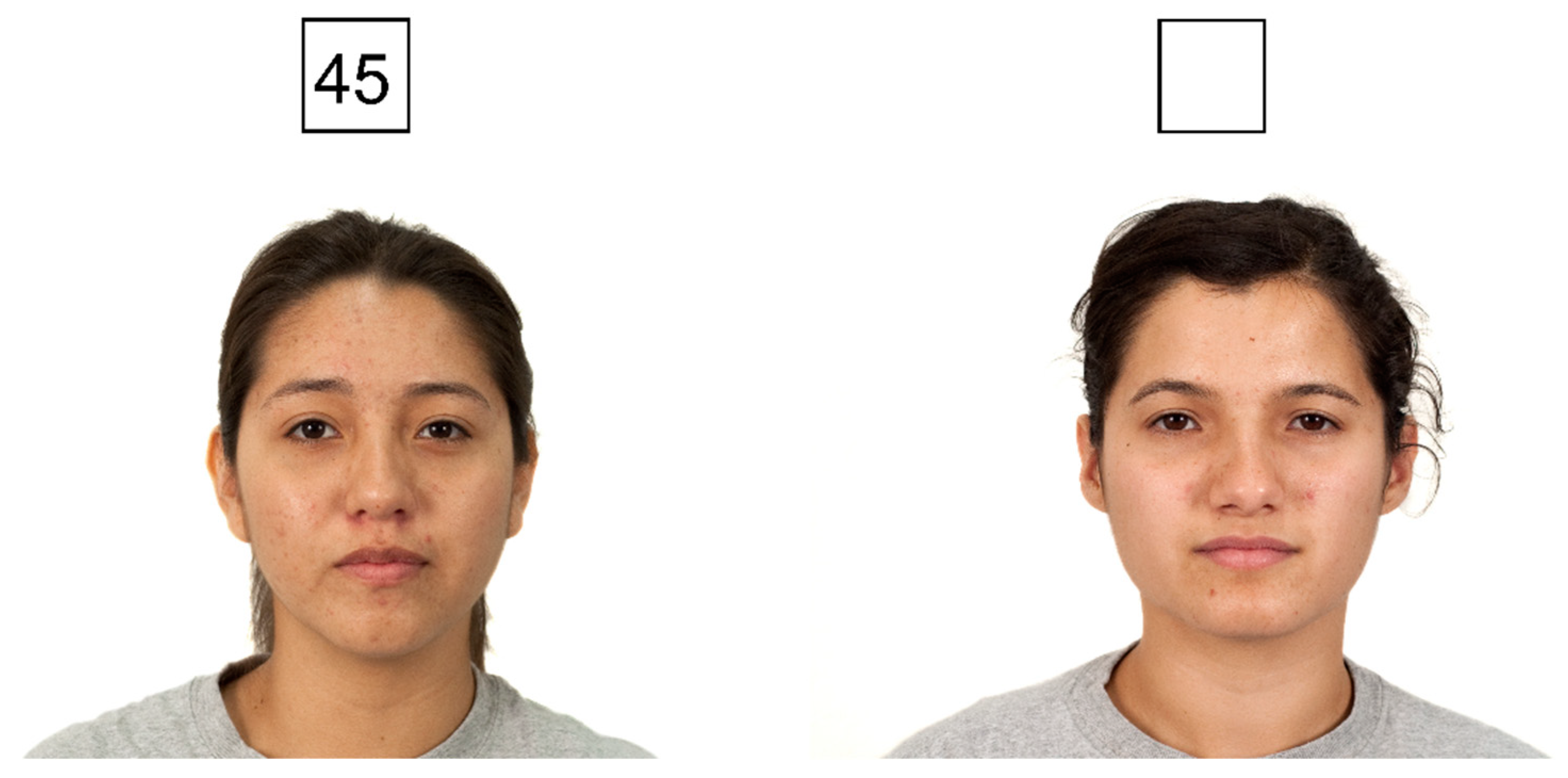 Symmetry 15 00133 g003 Symmetry 15 00133 g003