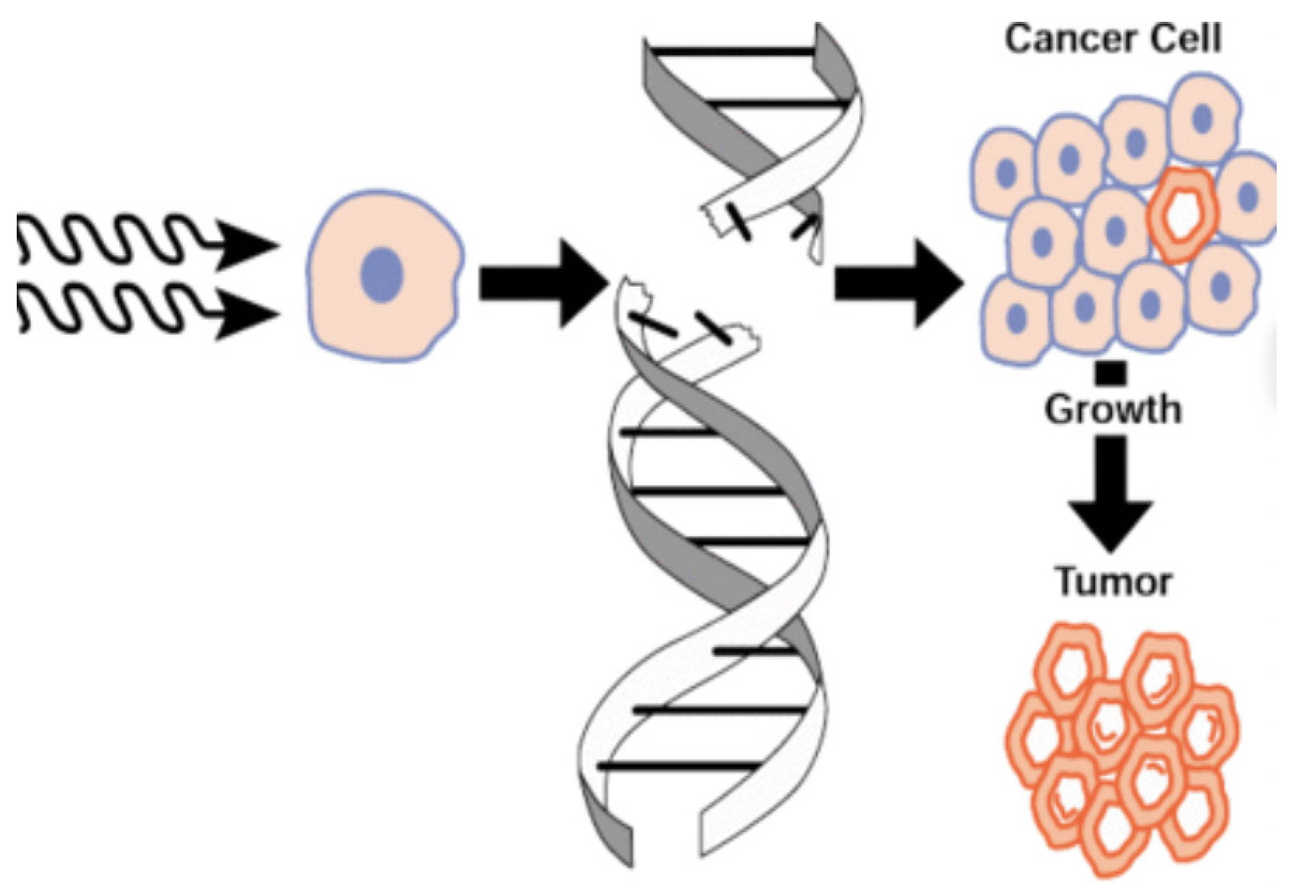 Symmetry 15 00205 g004