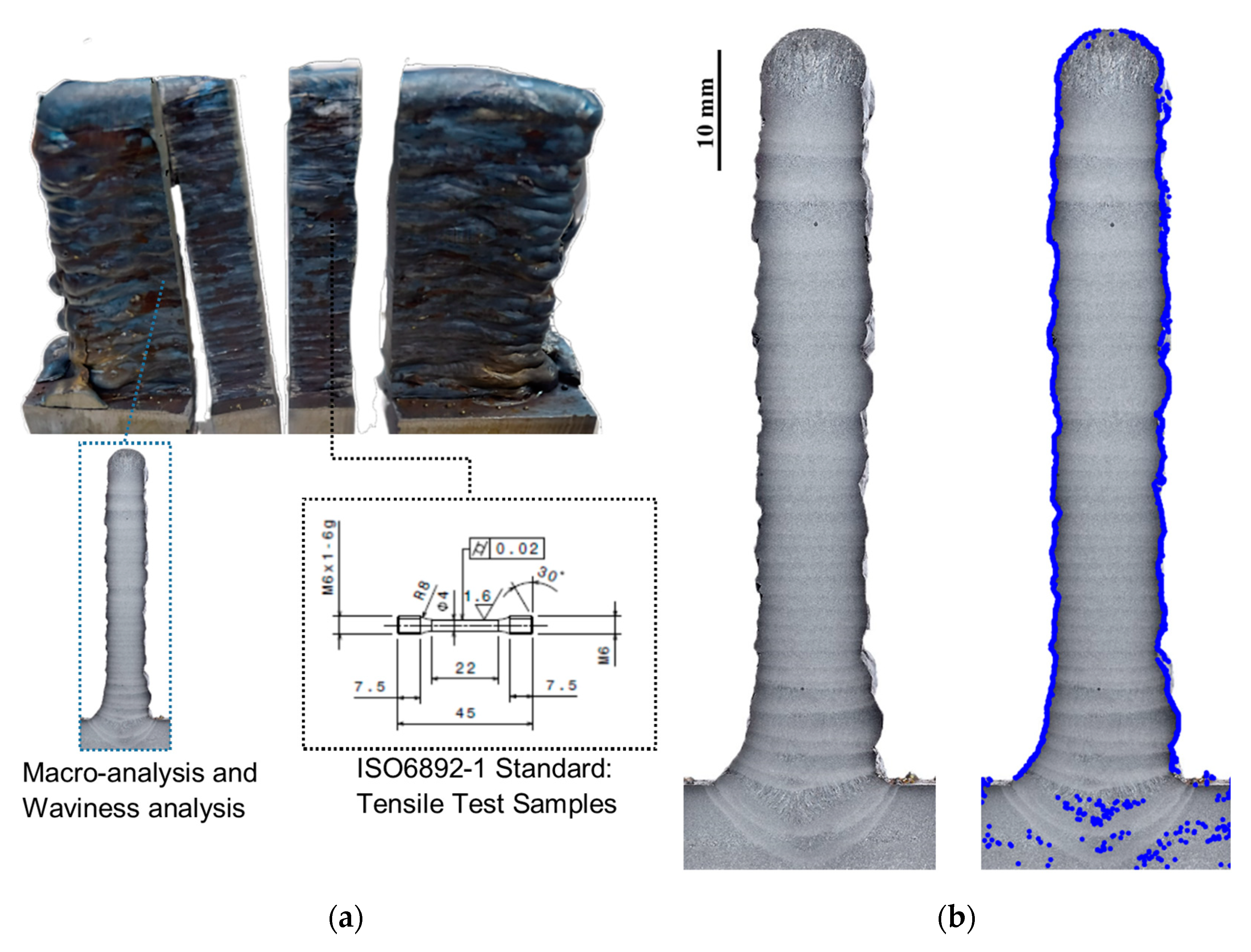 Symmetry 15 00268 g009
