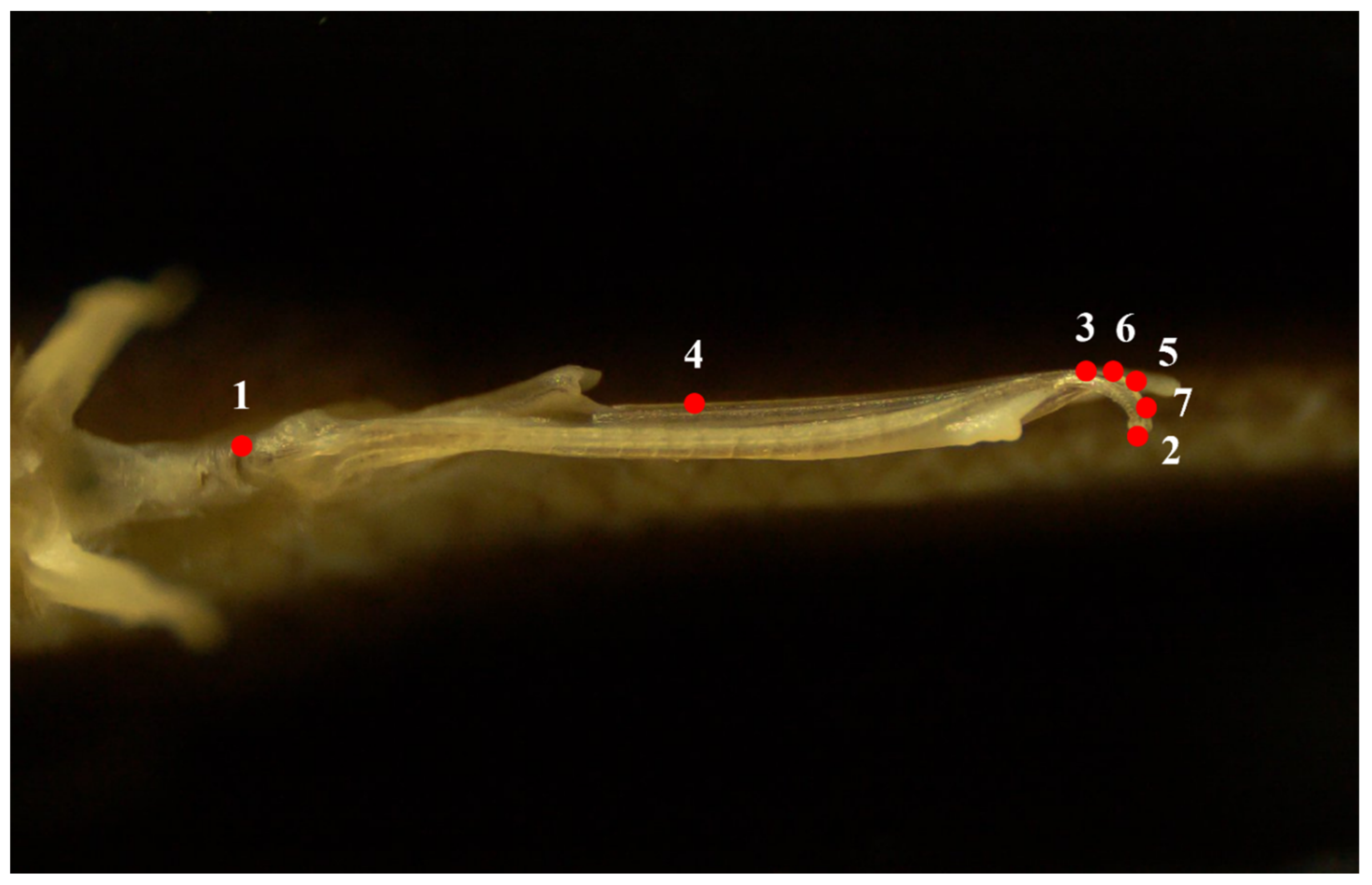 Symmetry 15 00489 g003