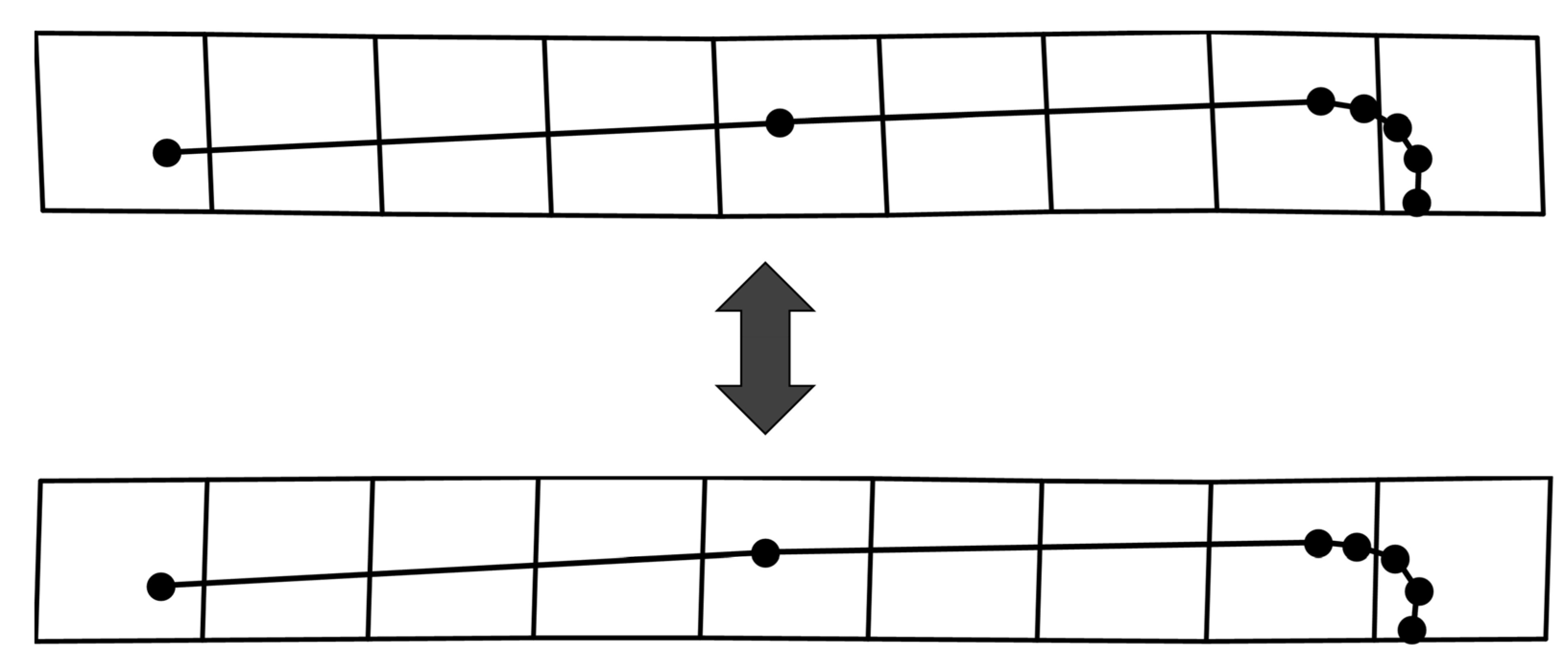 Symmetry 15 00489 g004