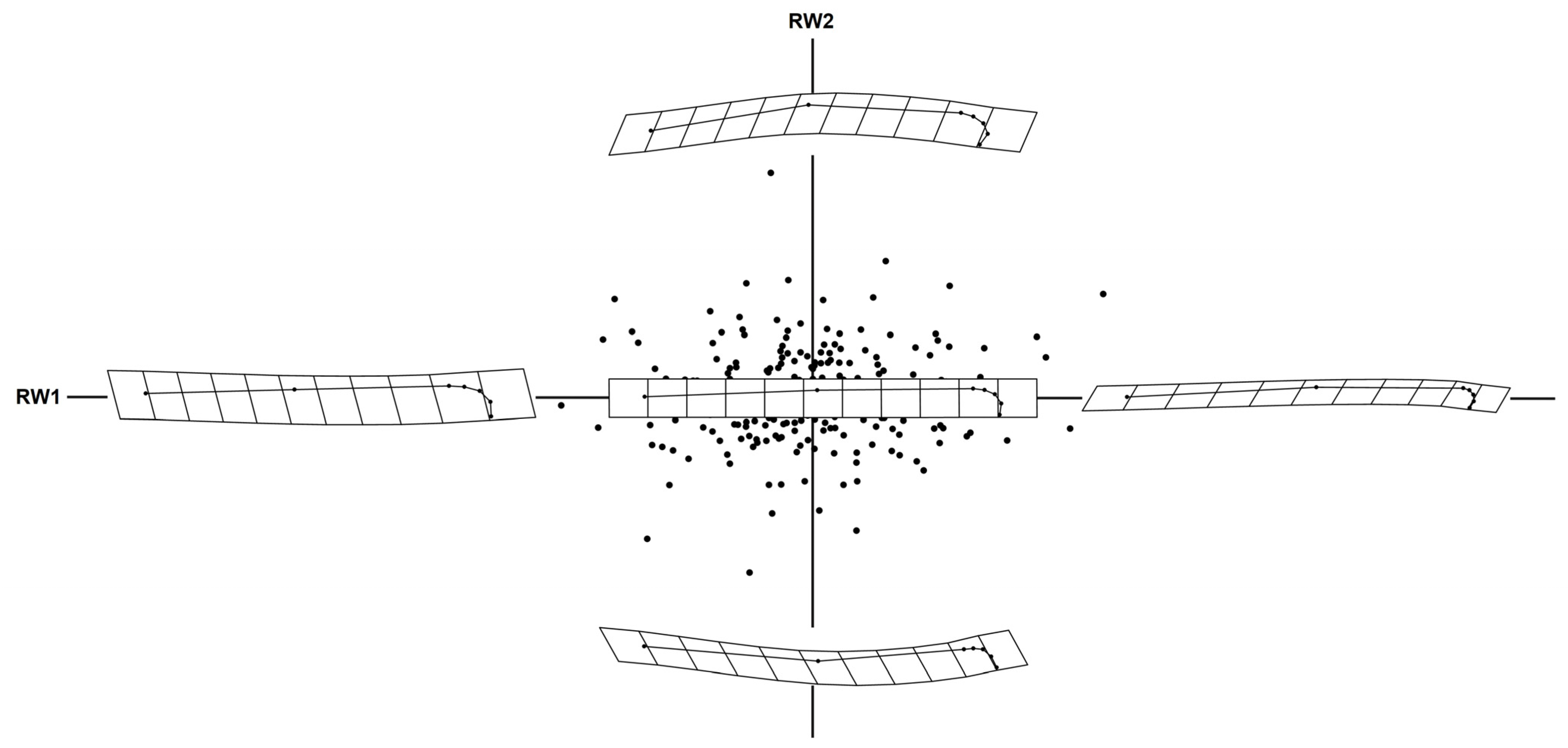 Symmetry 15 00489 g005