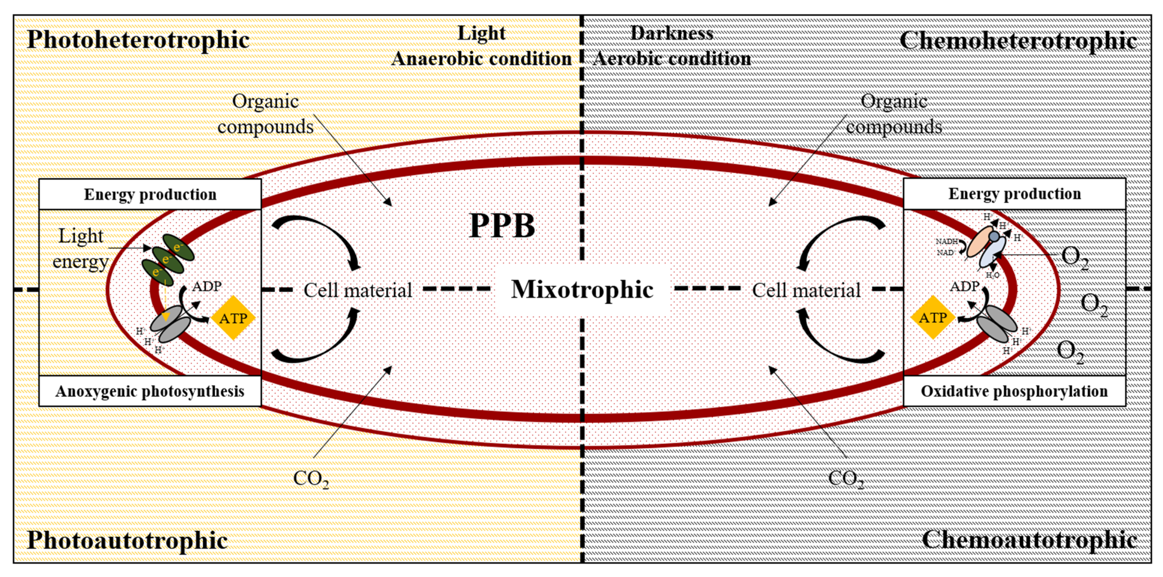 Symmetry 15 00525 g002