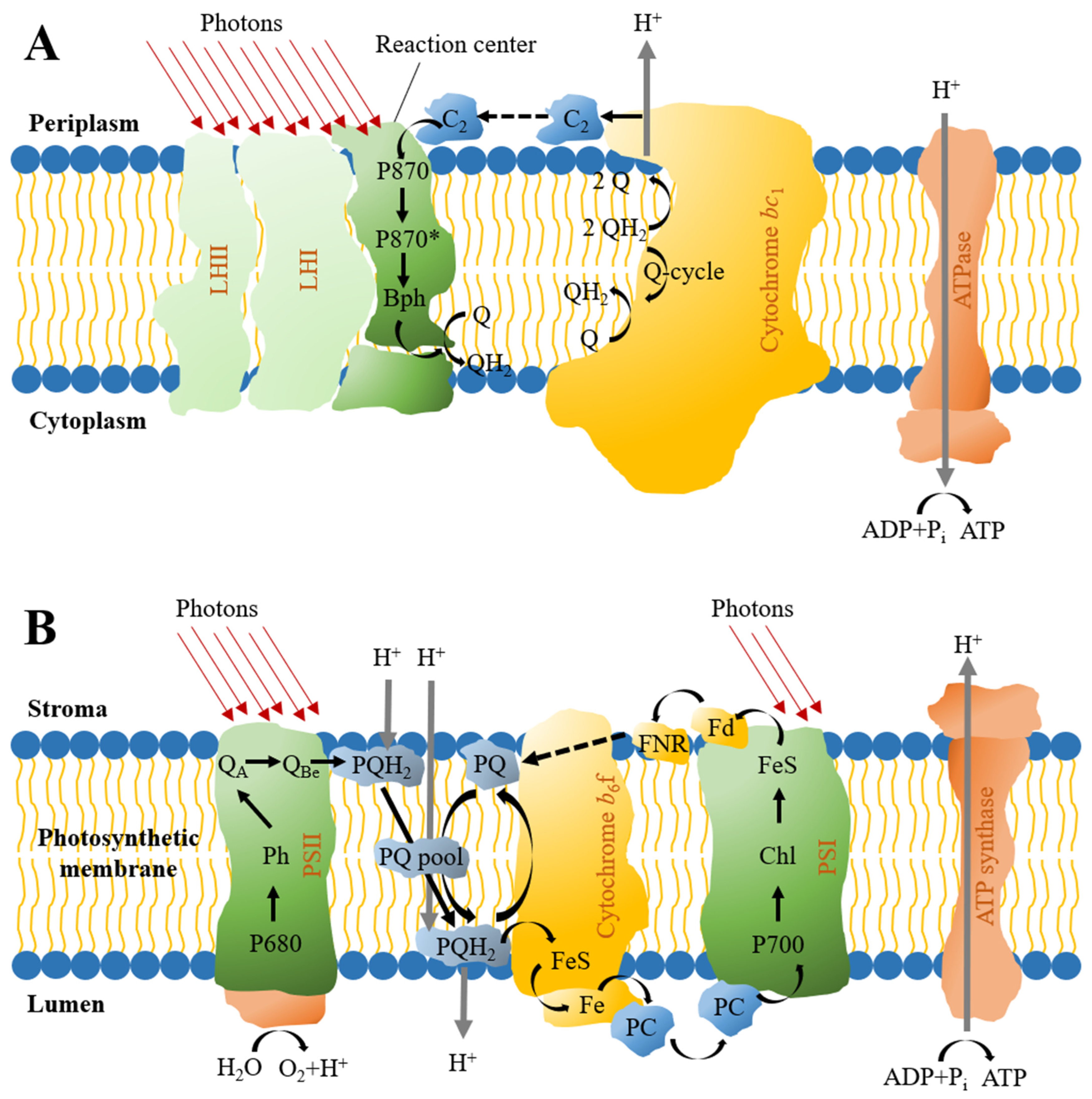 Symmetry 15 00525 g003