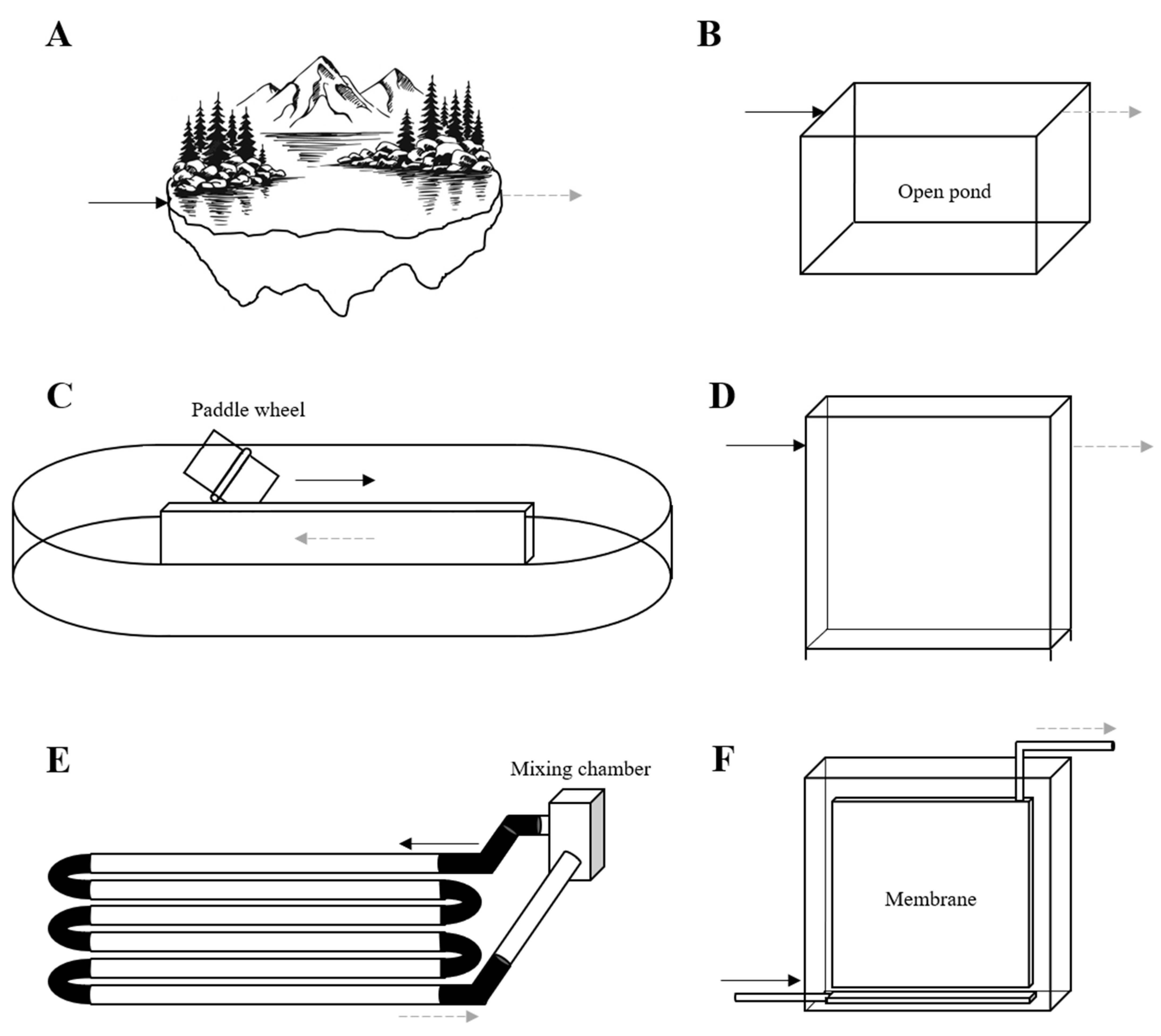 Symmetry 15 00525 g006
