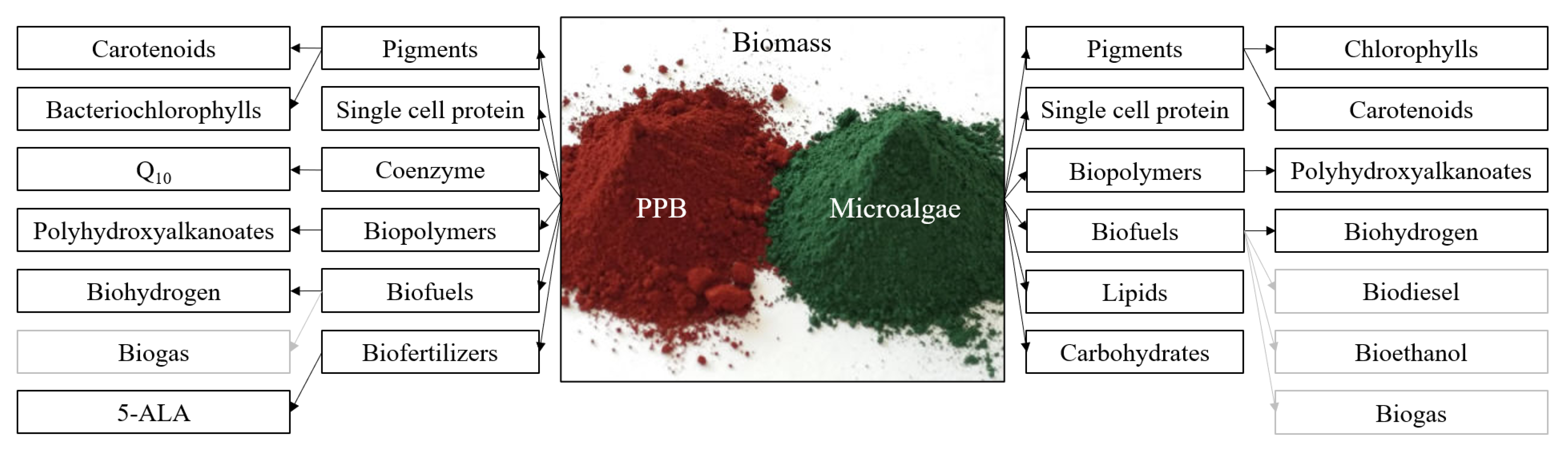 Symmetry 15 00525 g008