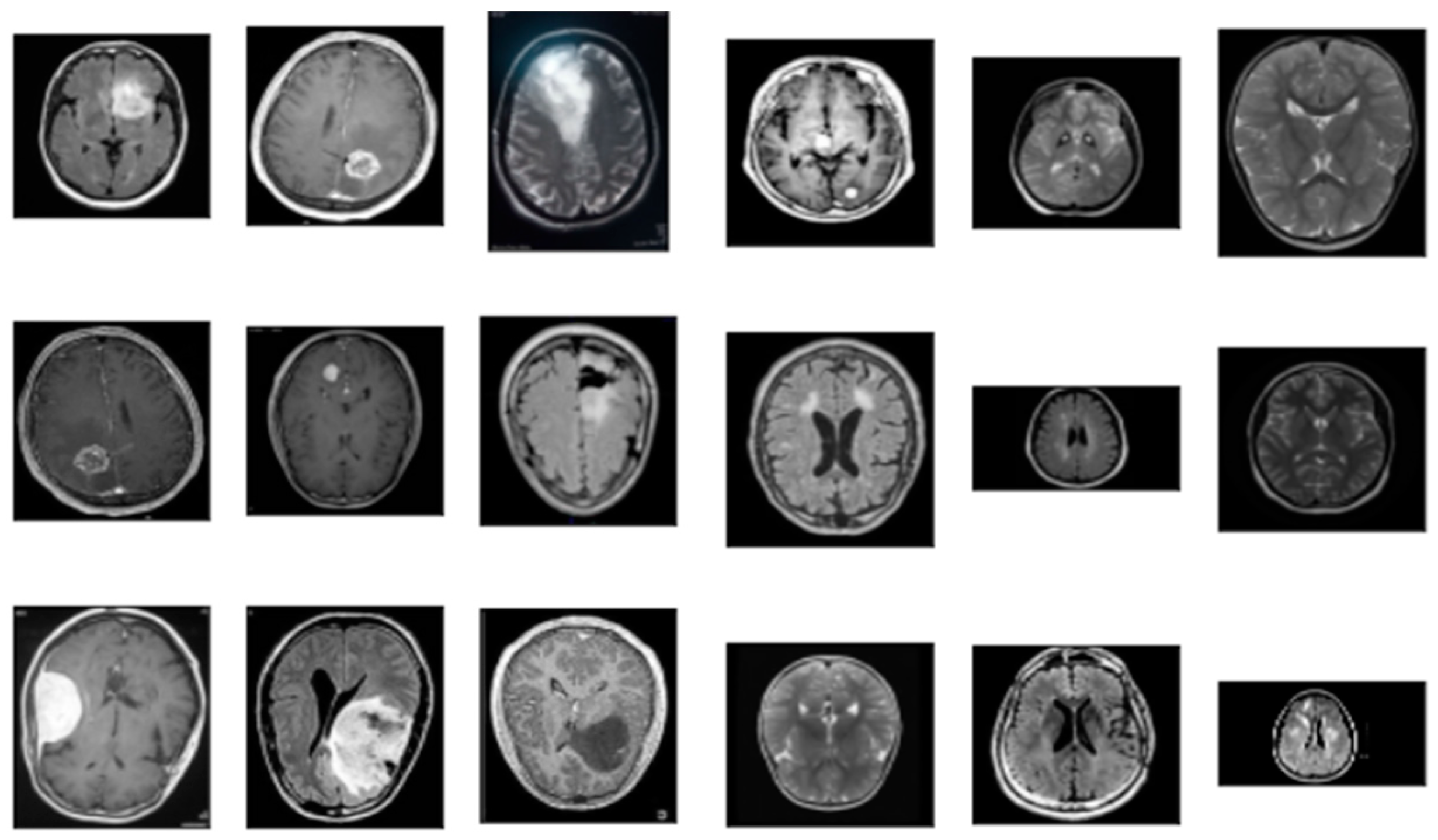 Symmetry 15 00571 g001
