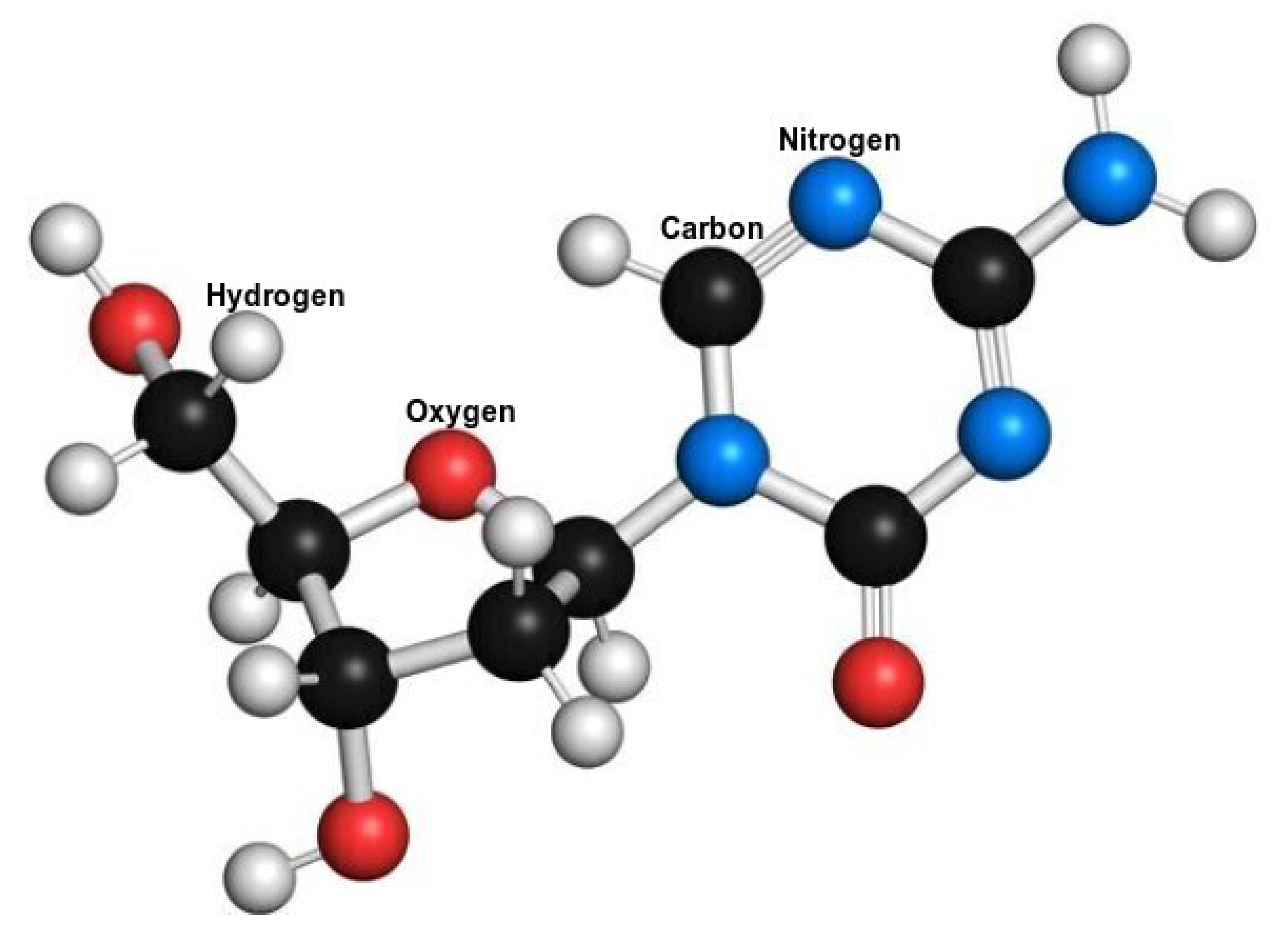 Symmetry 15 00603 g002