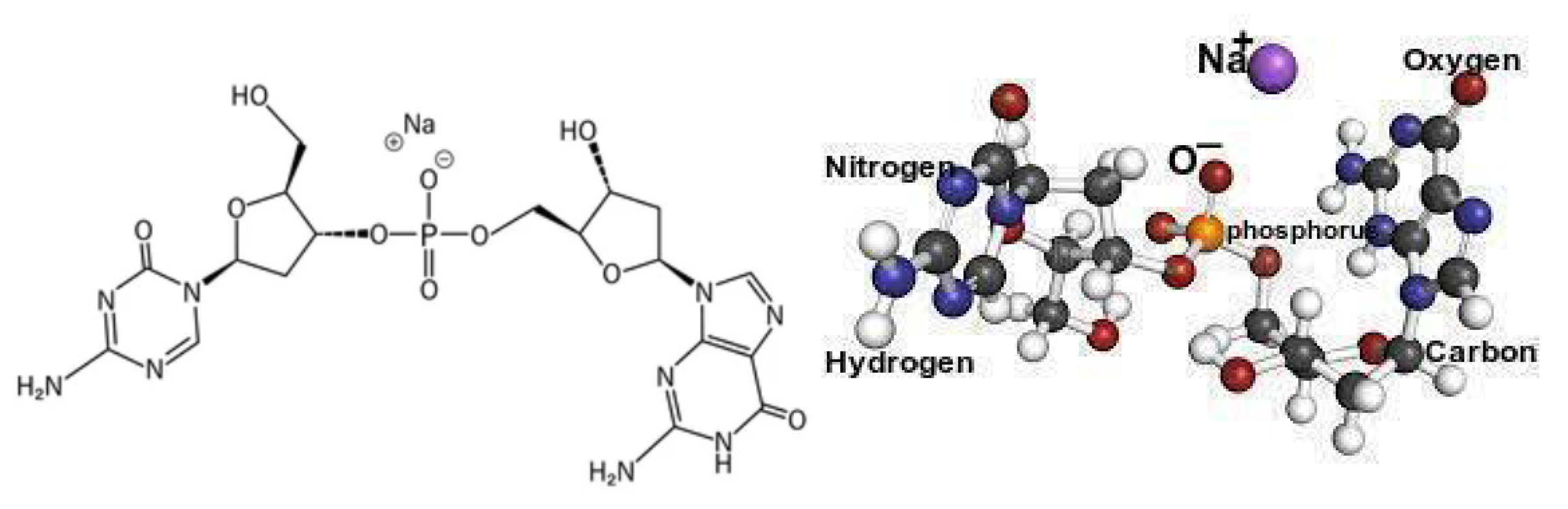 Symmetry 15 00603 g003