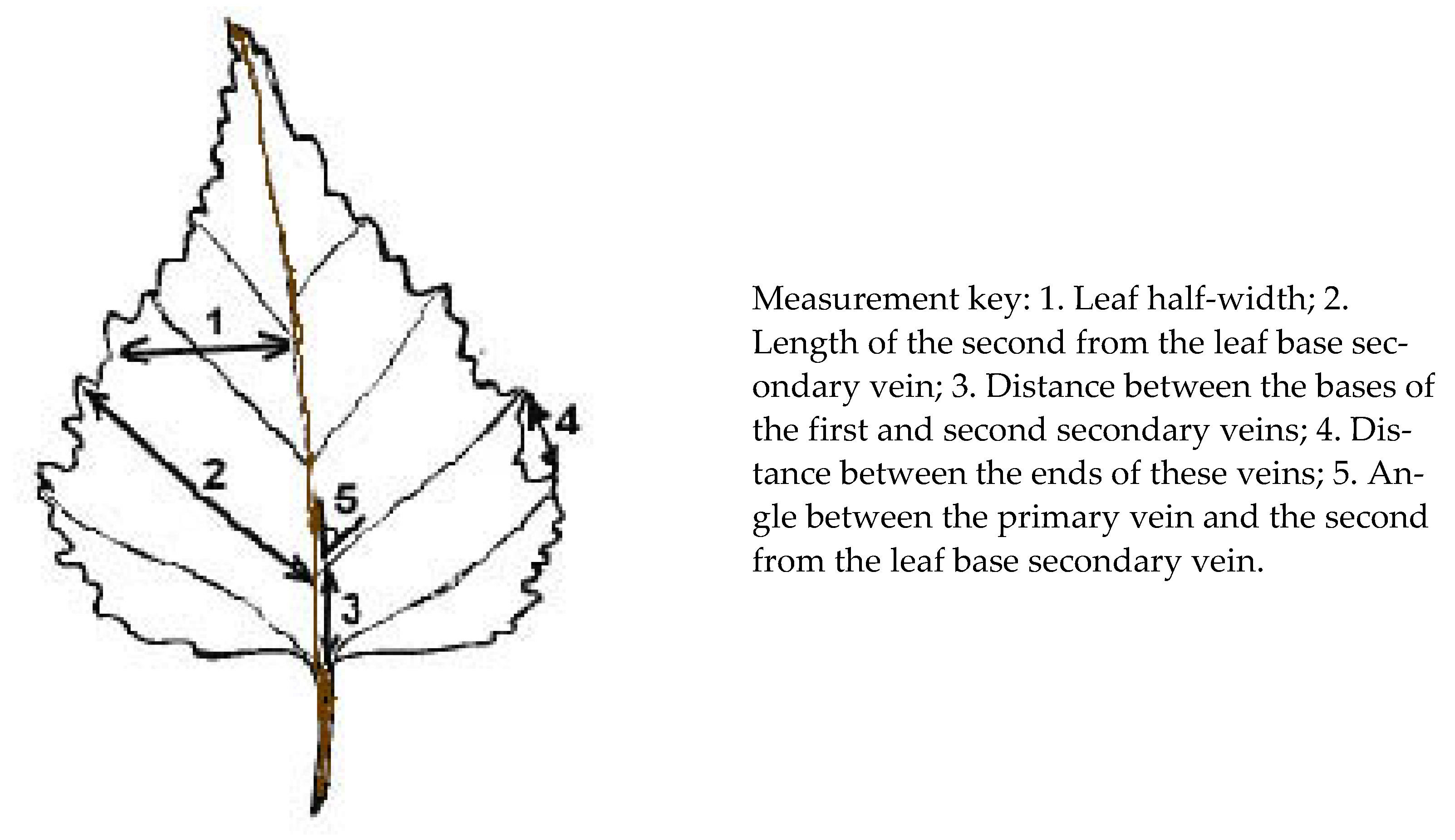 Symmetry 15 00700 g002 Symmetry 15 00700 g002